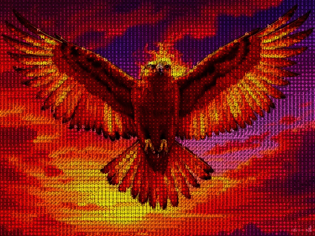 Wings of the Morning