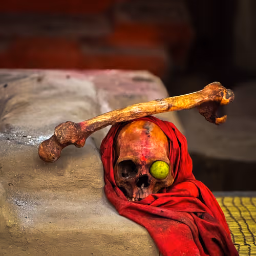 REBIRTH - real Skull