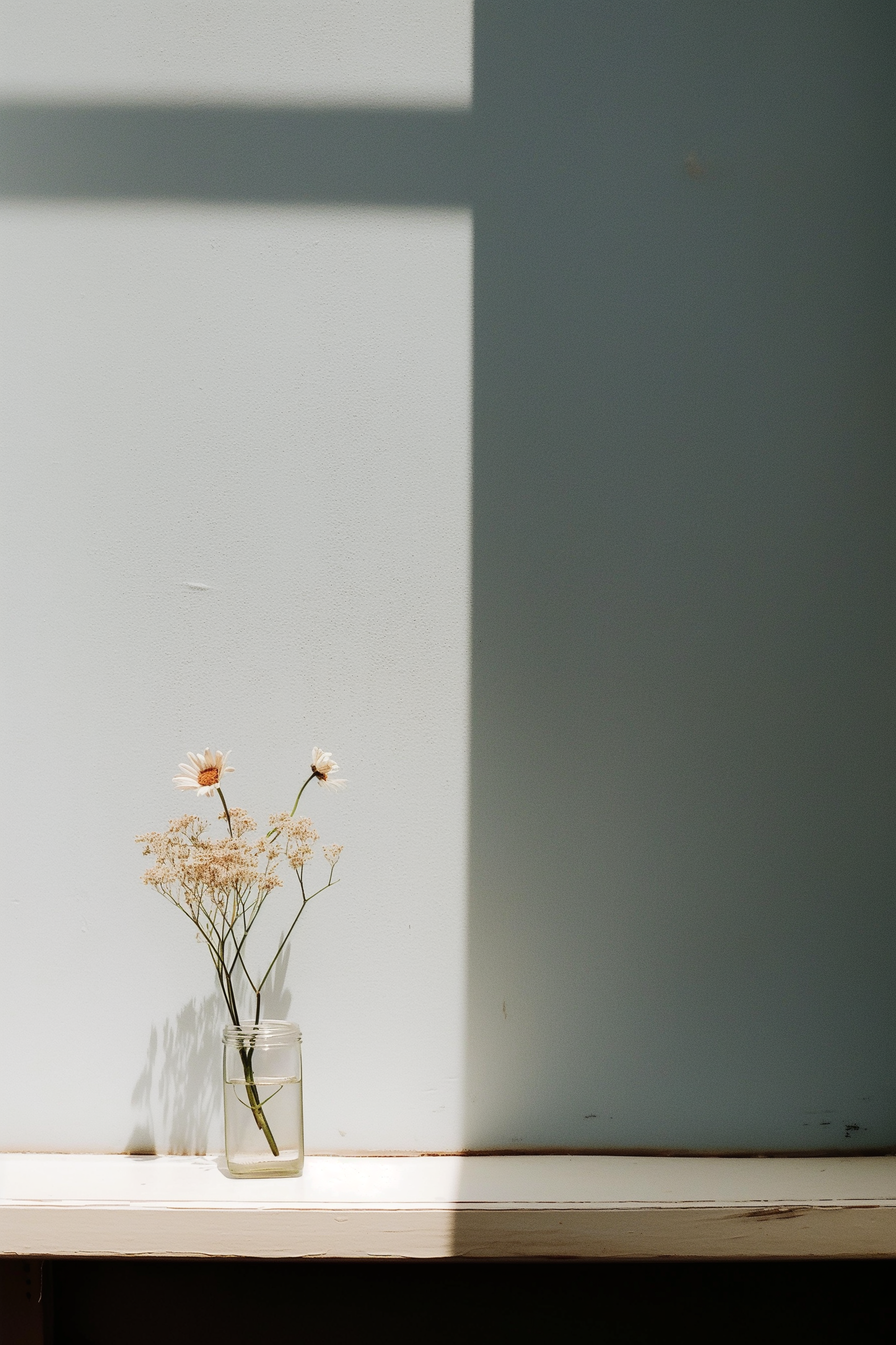 Summer Doldrum Diary - part 31