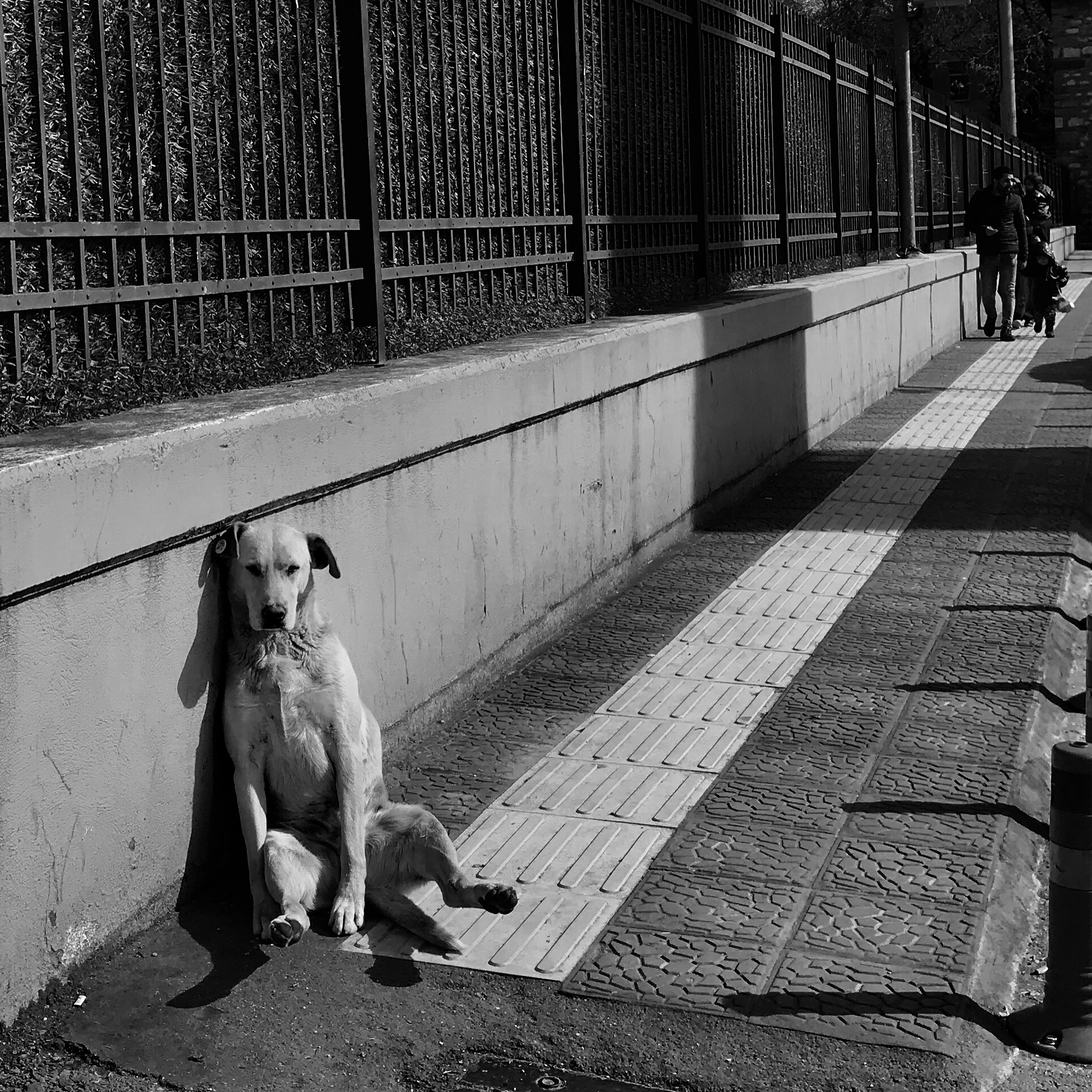 Street #19