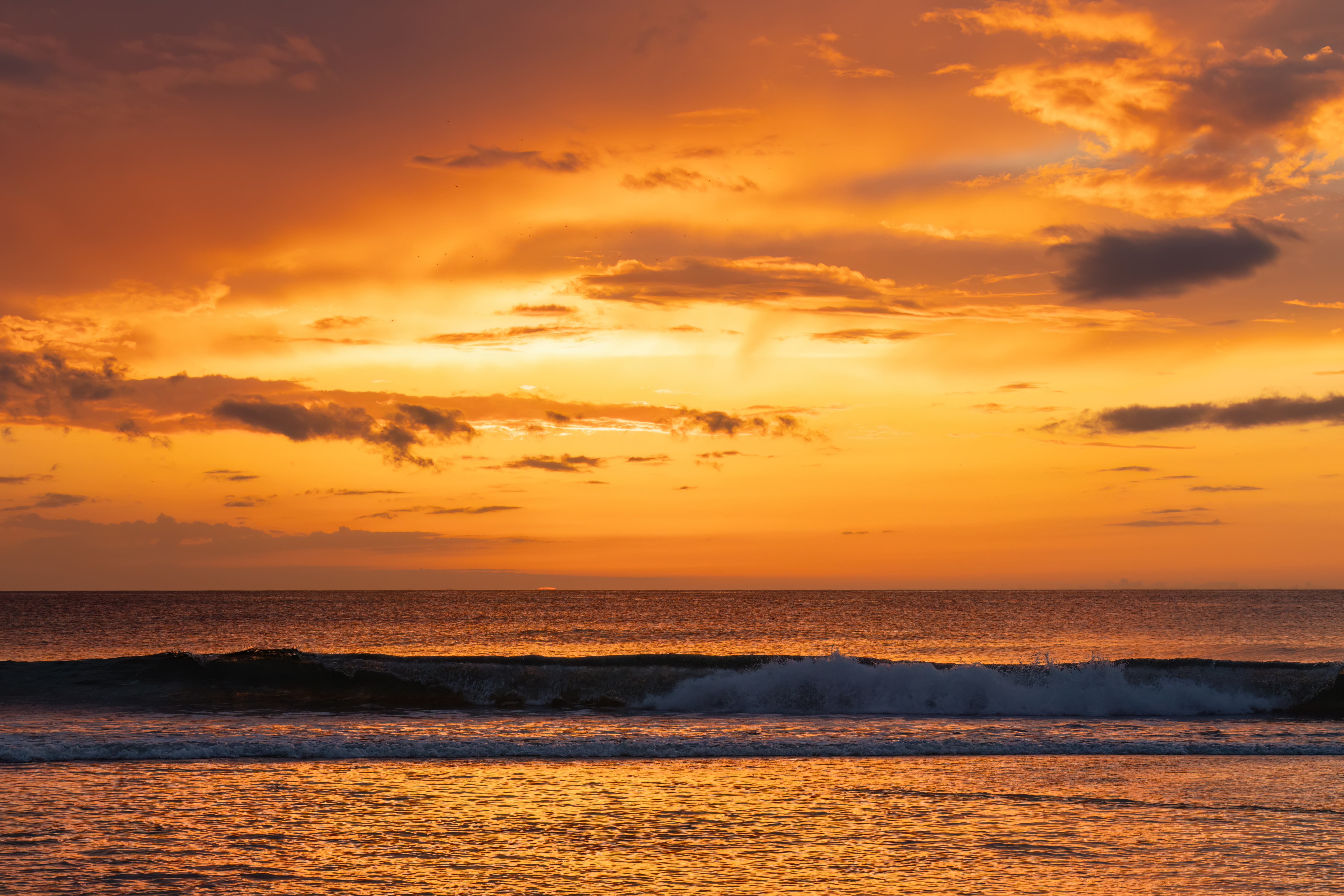 Golden Dreams
