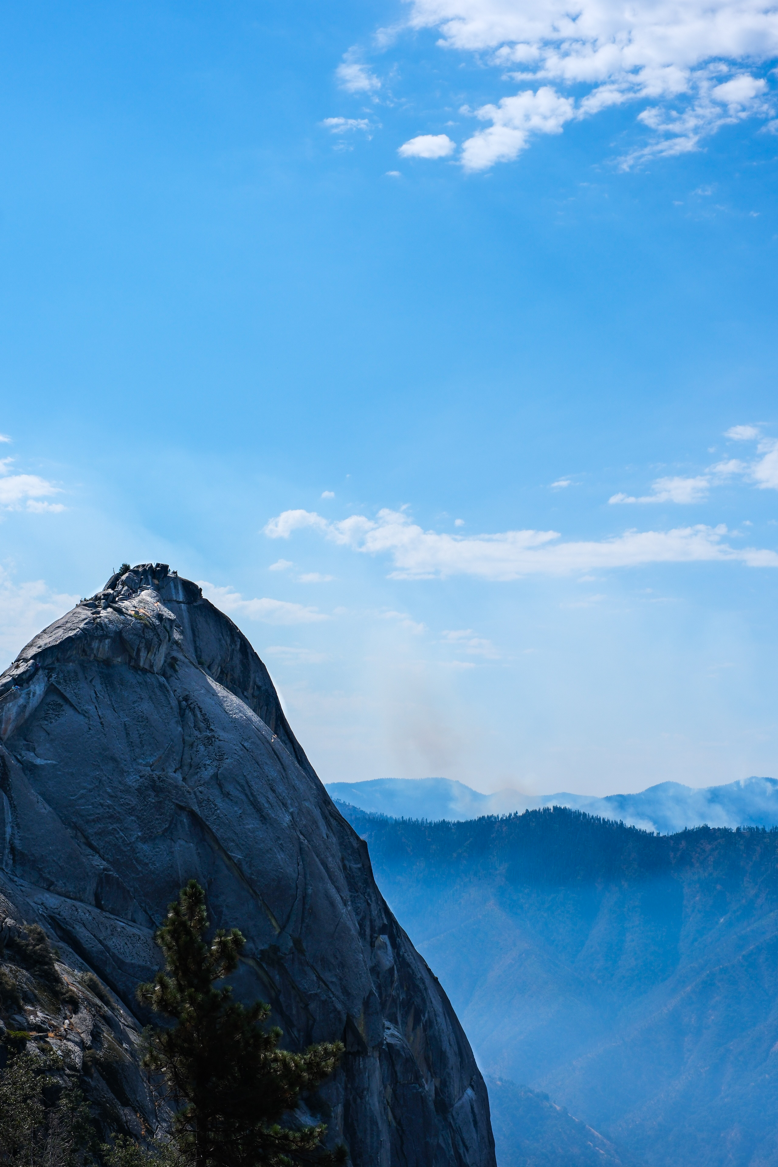 we’re all stewards of 🌎