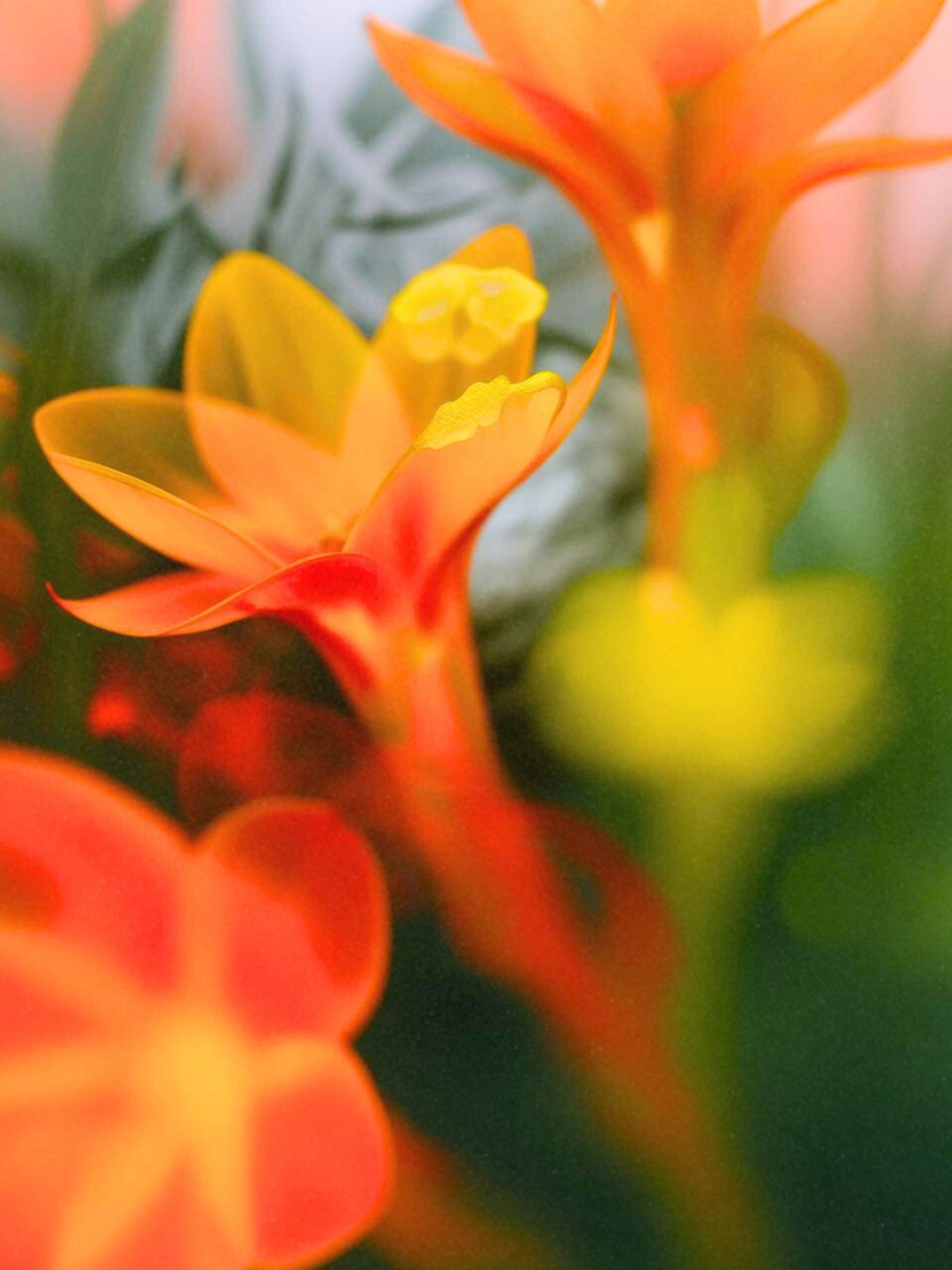 synthetic blooms