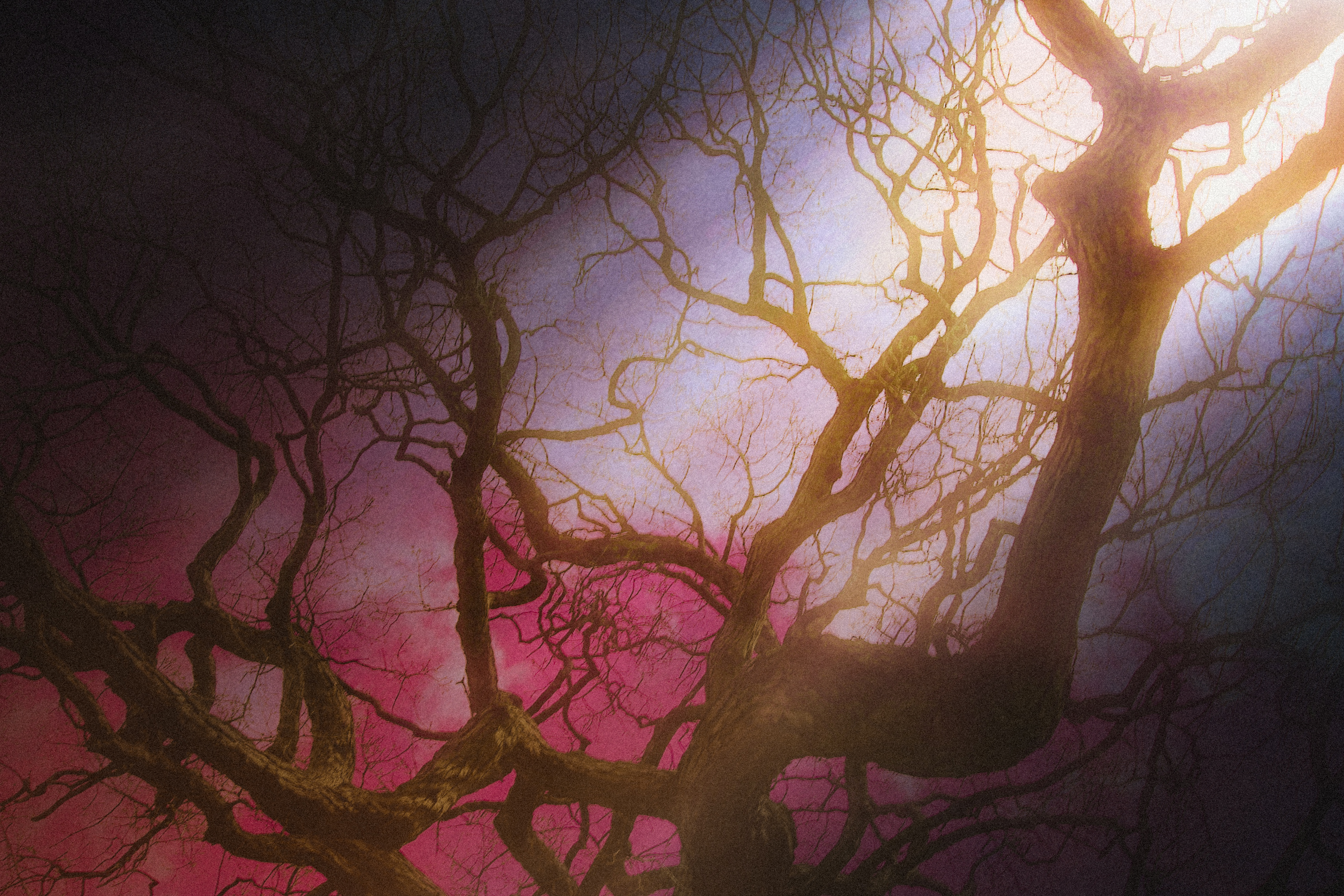 Let The Light Bleed Into You