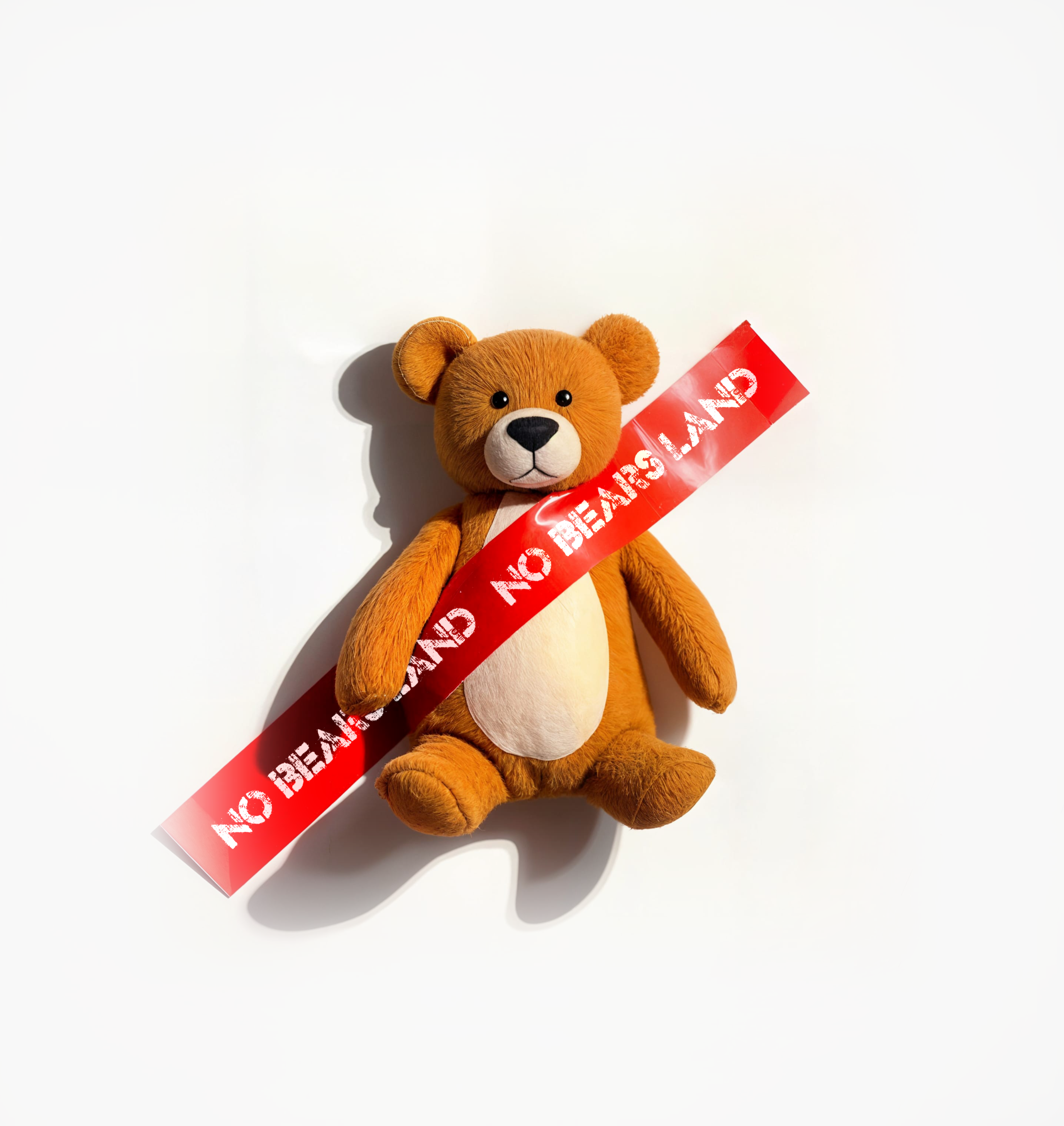 NoBearsLand #15