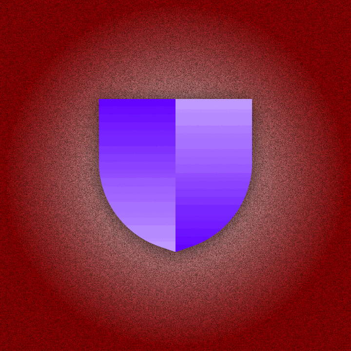 Let The Shield Shine #17748