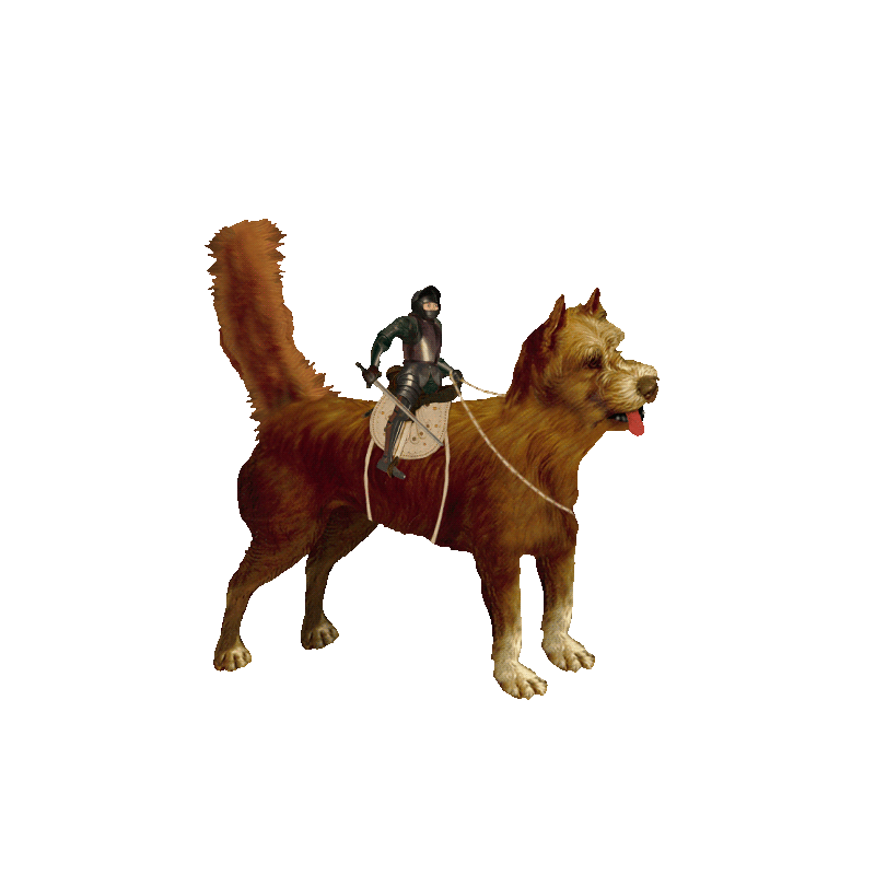 Knight on Dog #1