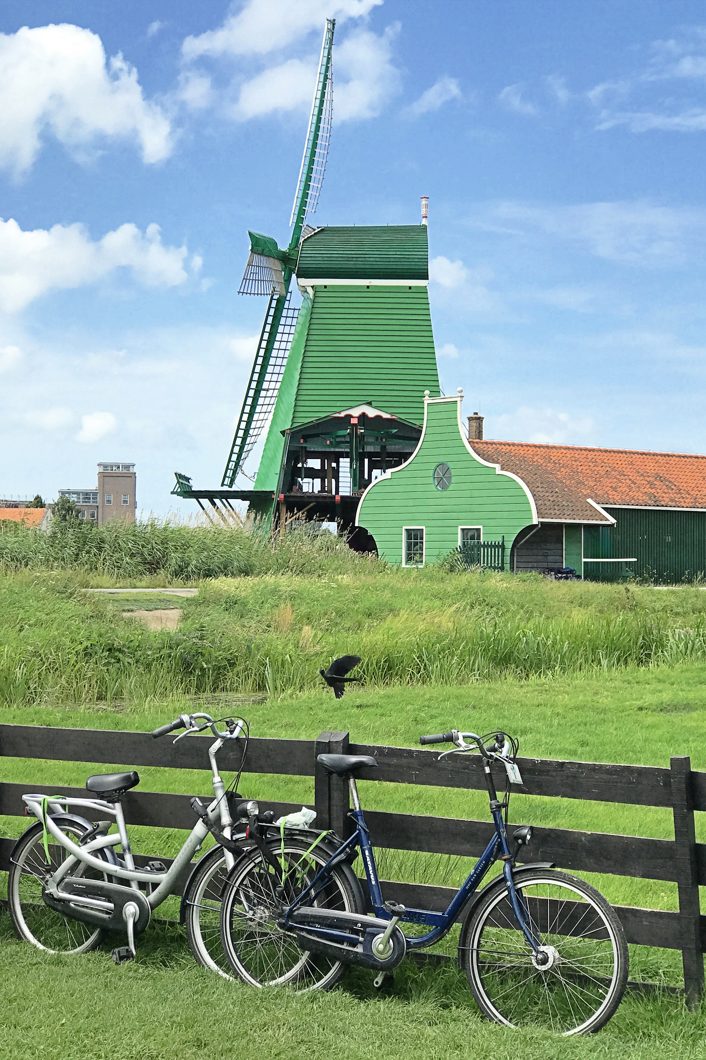 Two-wheelers of The Netherlands #8