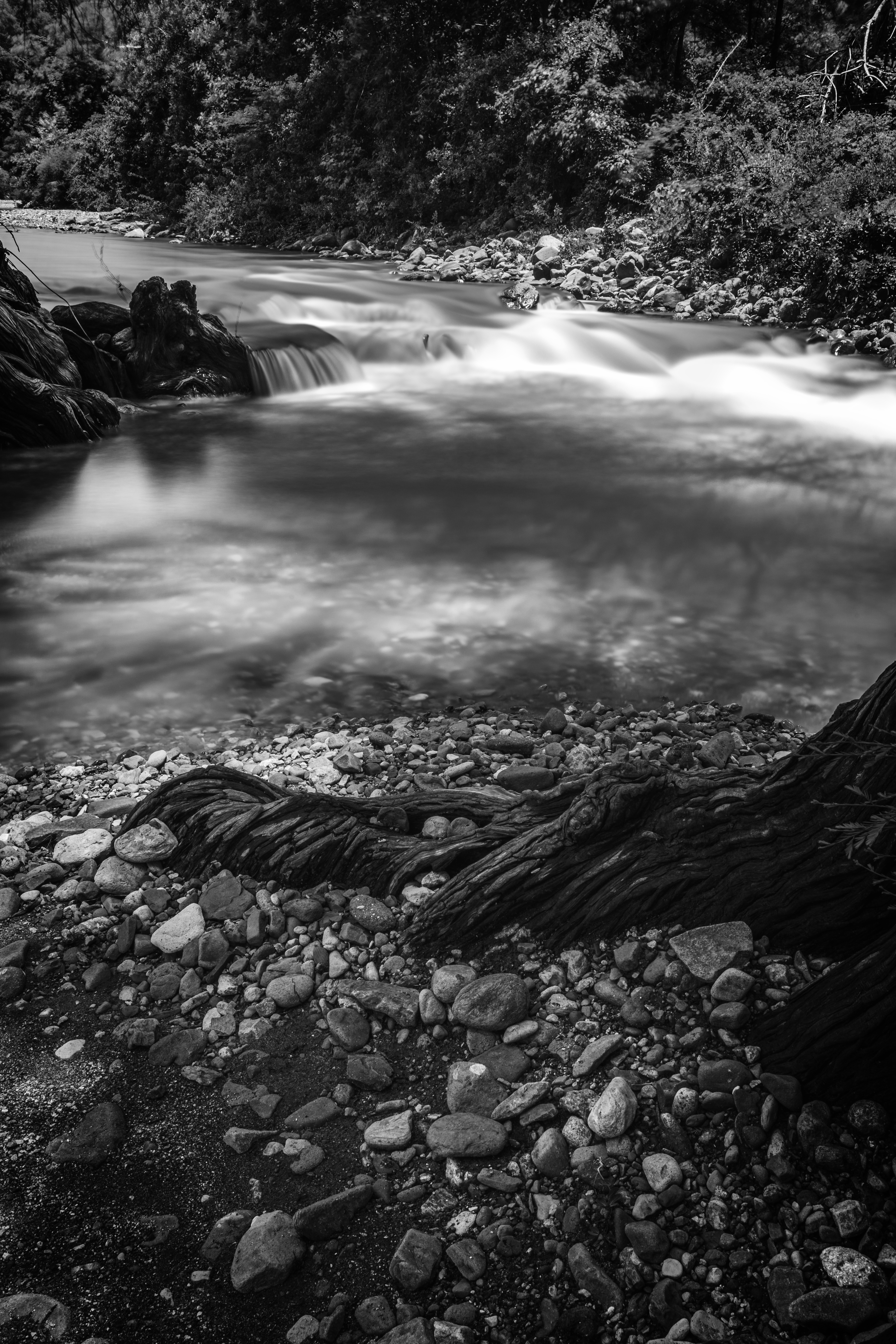 Down by the river #25