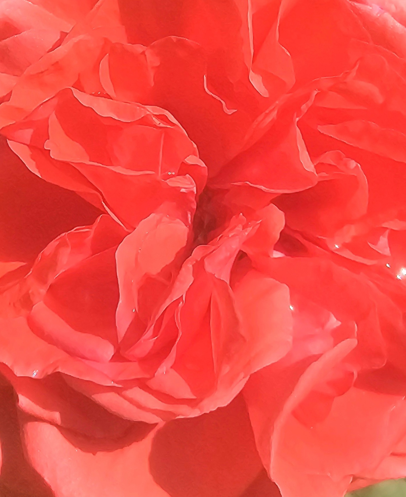 April beauty #514