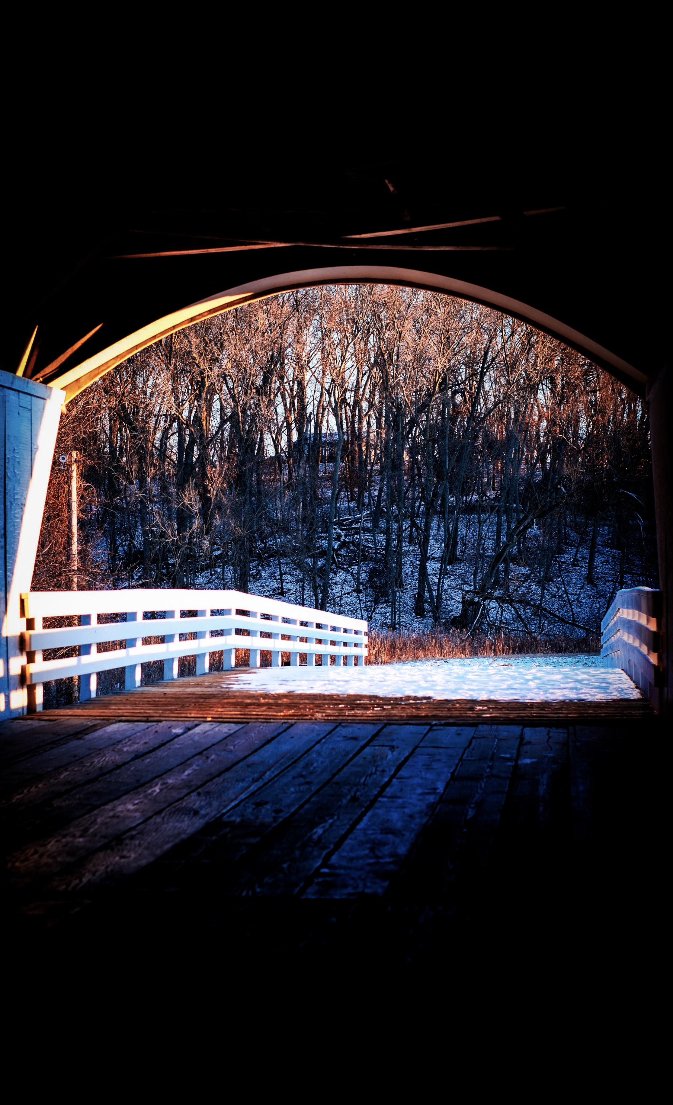 over the river and through the woods