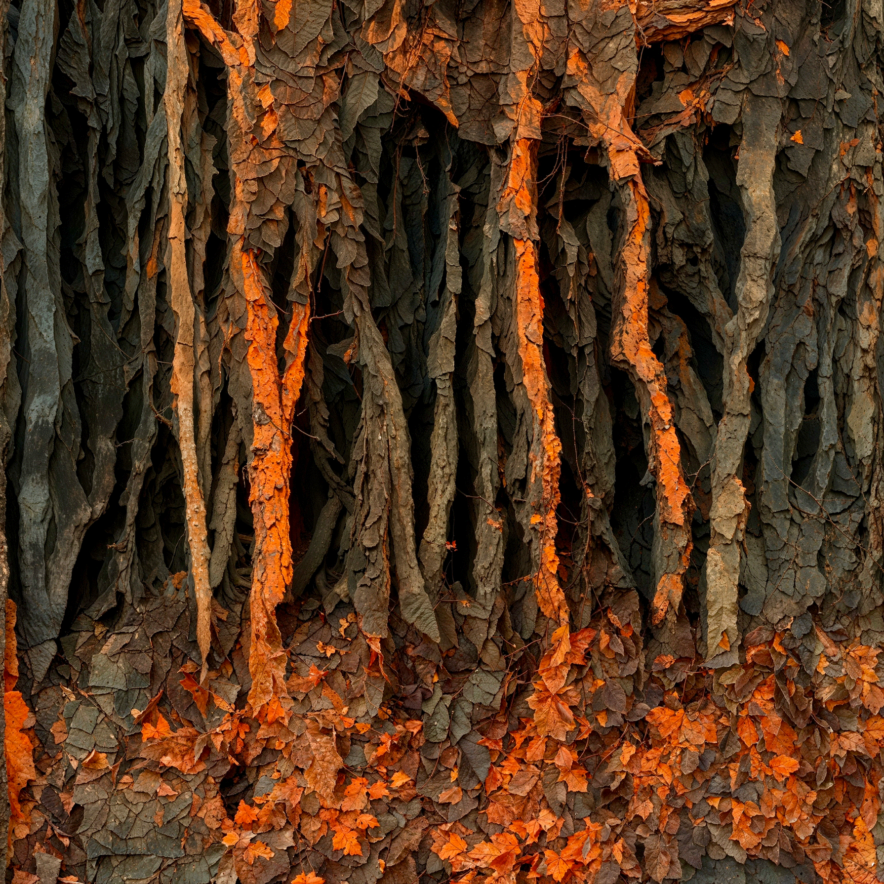 Missing the Forest for the Trees