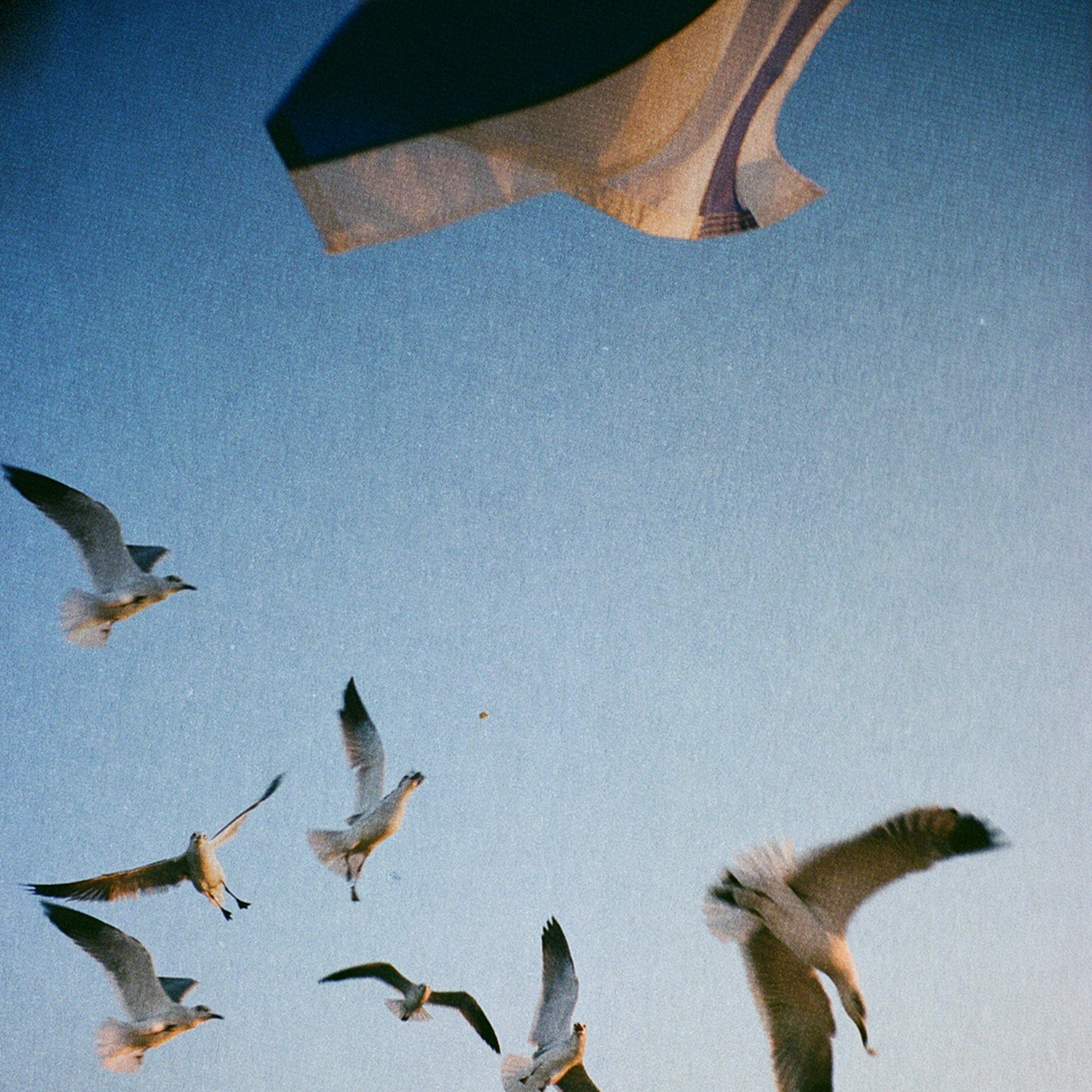 Come Home (ft. TyFontaine, Ilykimchi, Niles) - Limited #3