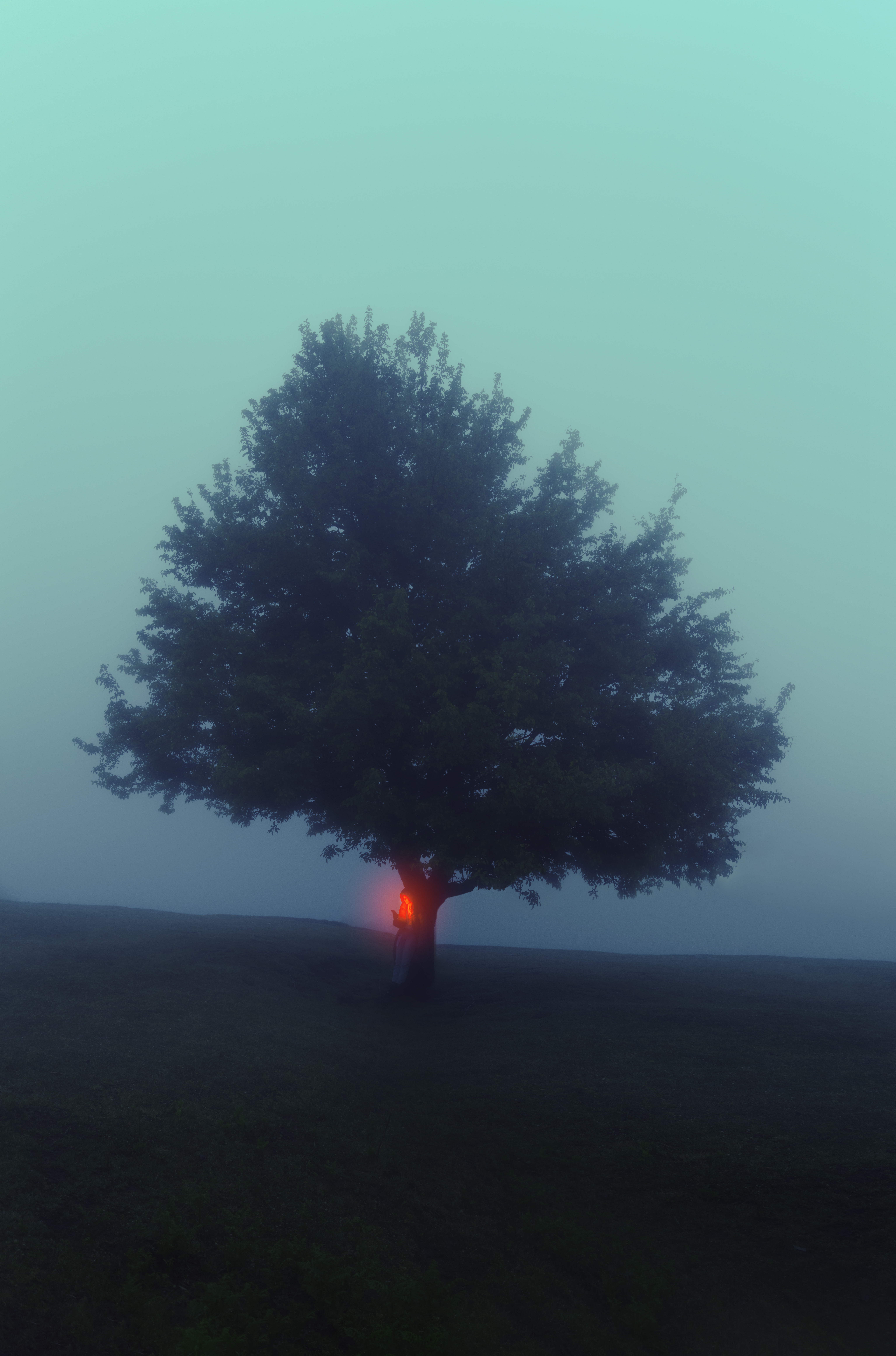 Limited Sight: #35