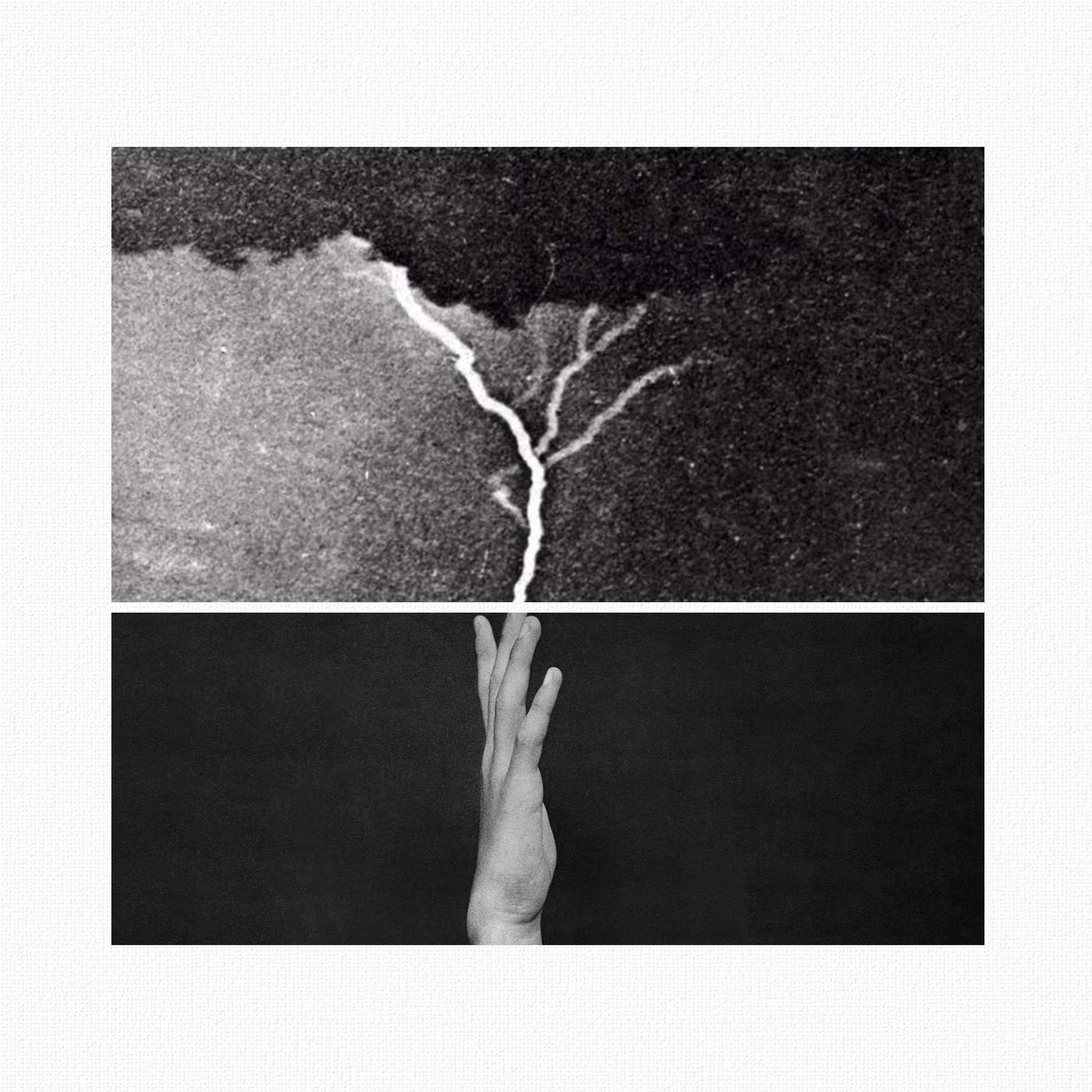 Collage N43