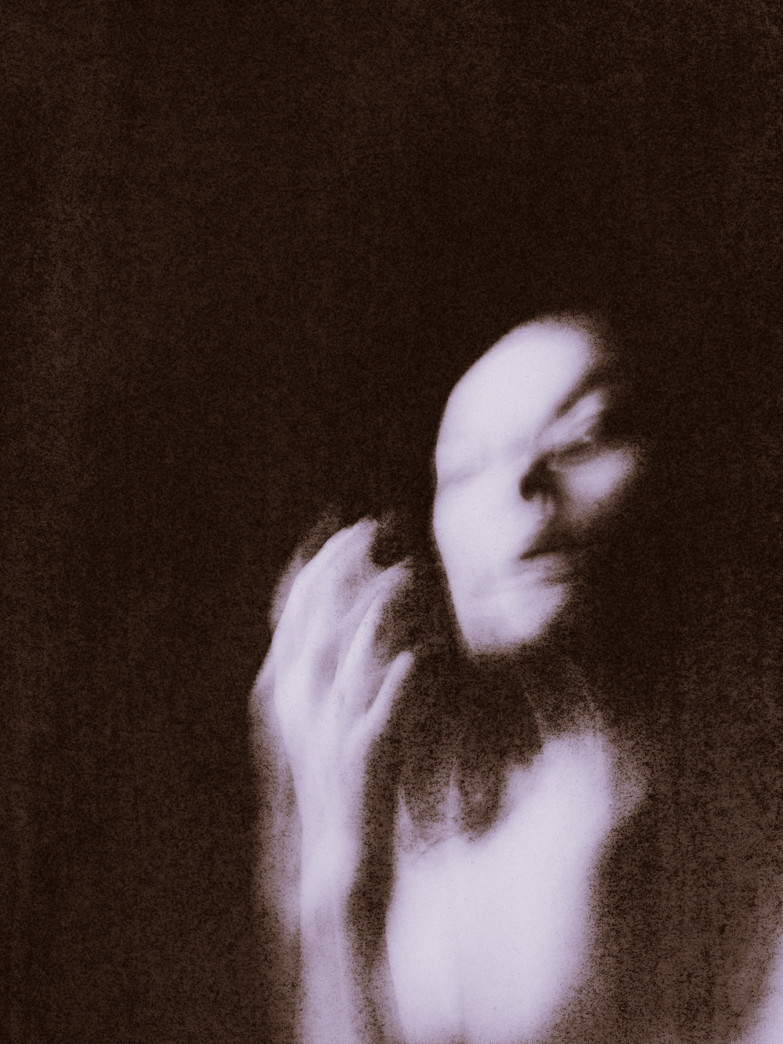 The forest I left behind (diptych)