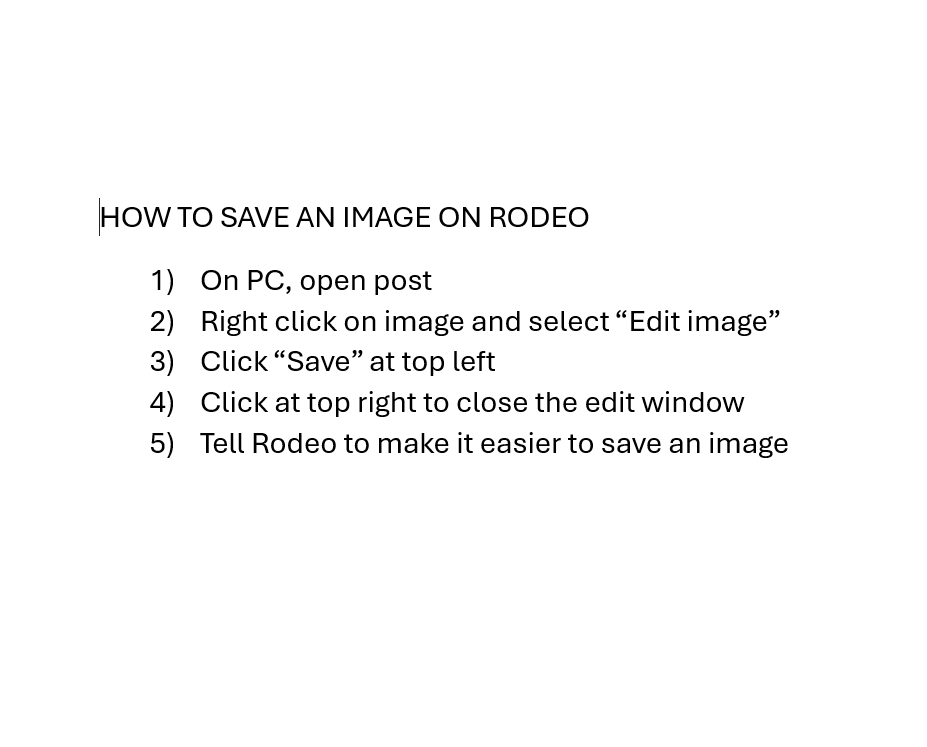 How to Save an Image on Rodeo