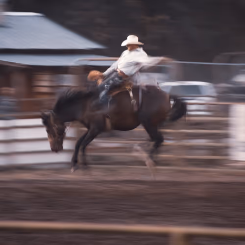 IRL Rodeo! (3 of 5)