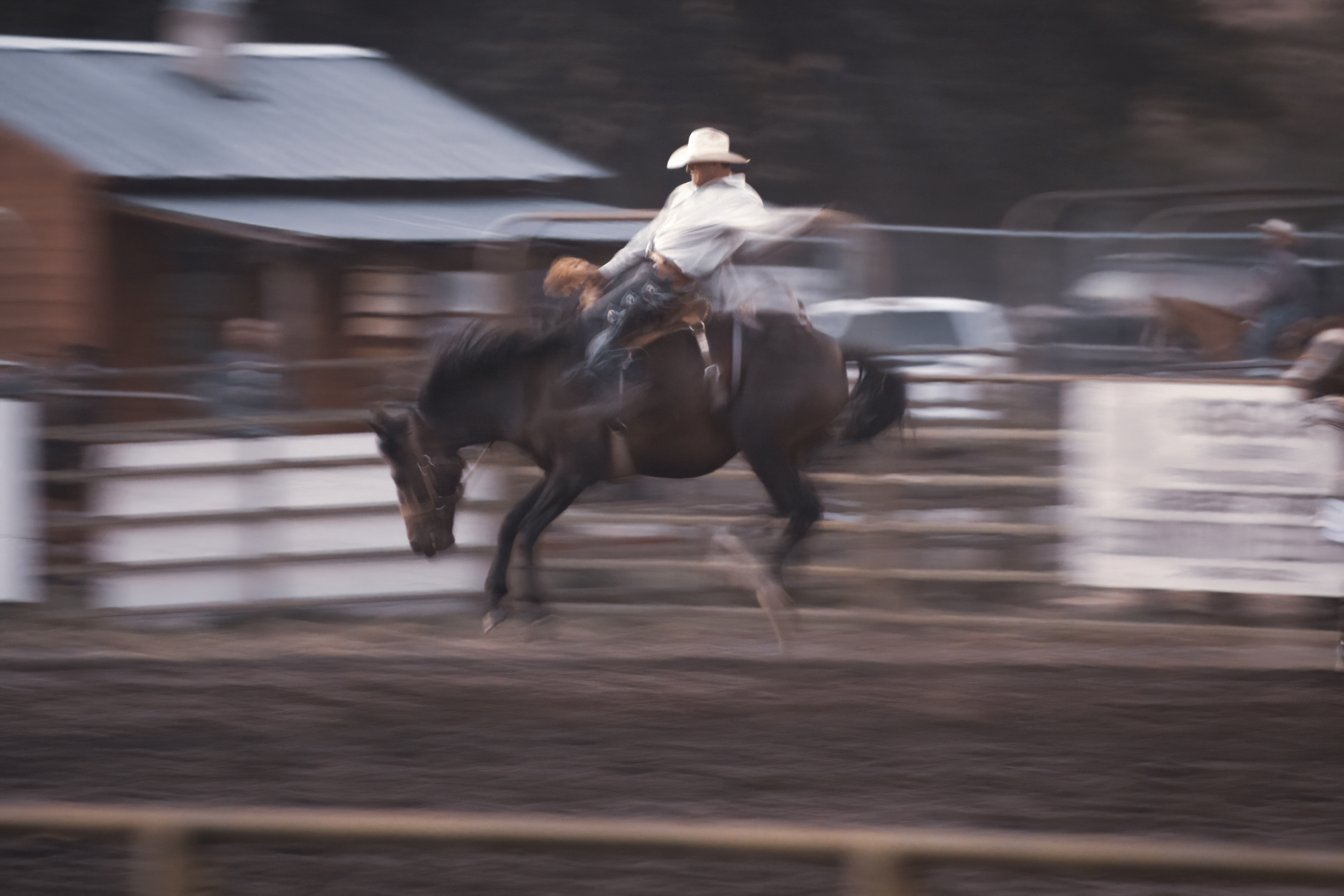 IRL Rodeo! (3 of 5)