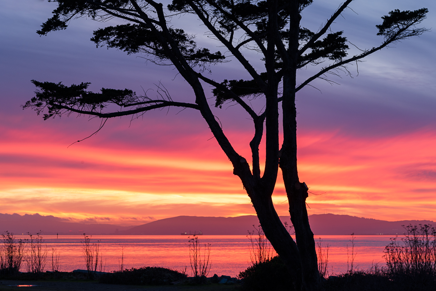 Vibrant winter sunset