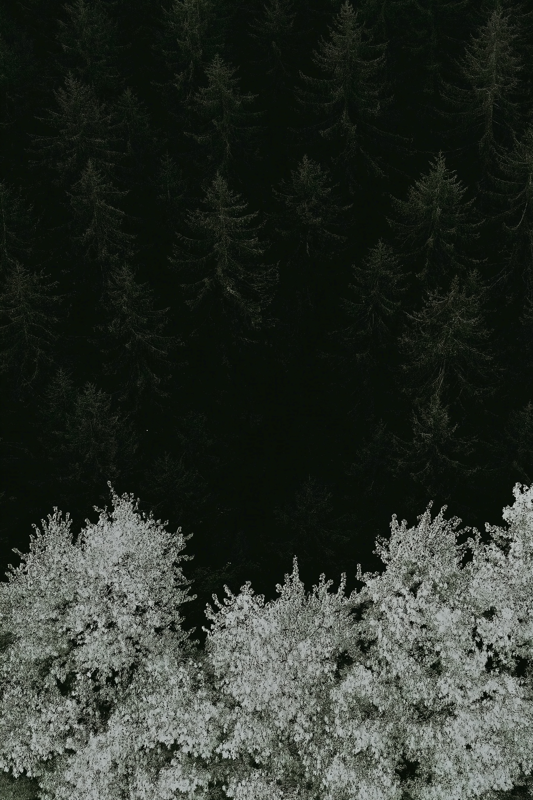 Summer Doldrum Diary - part 25