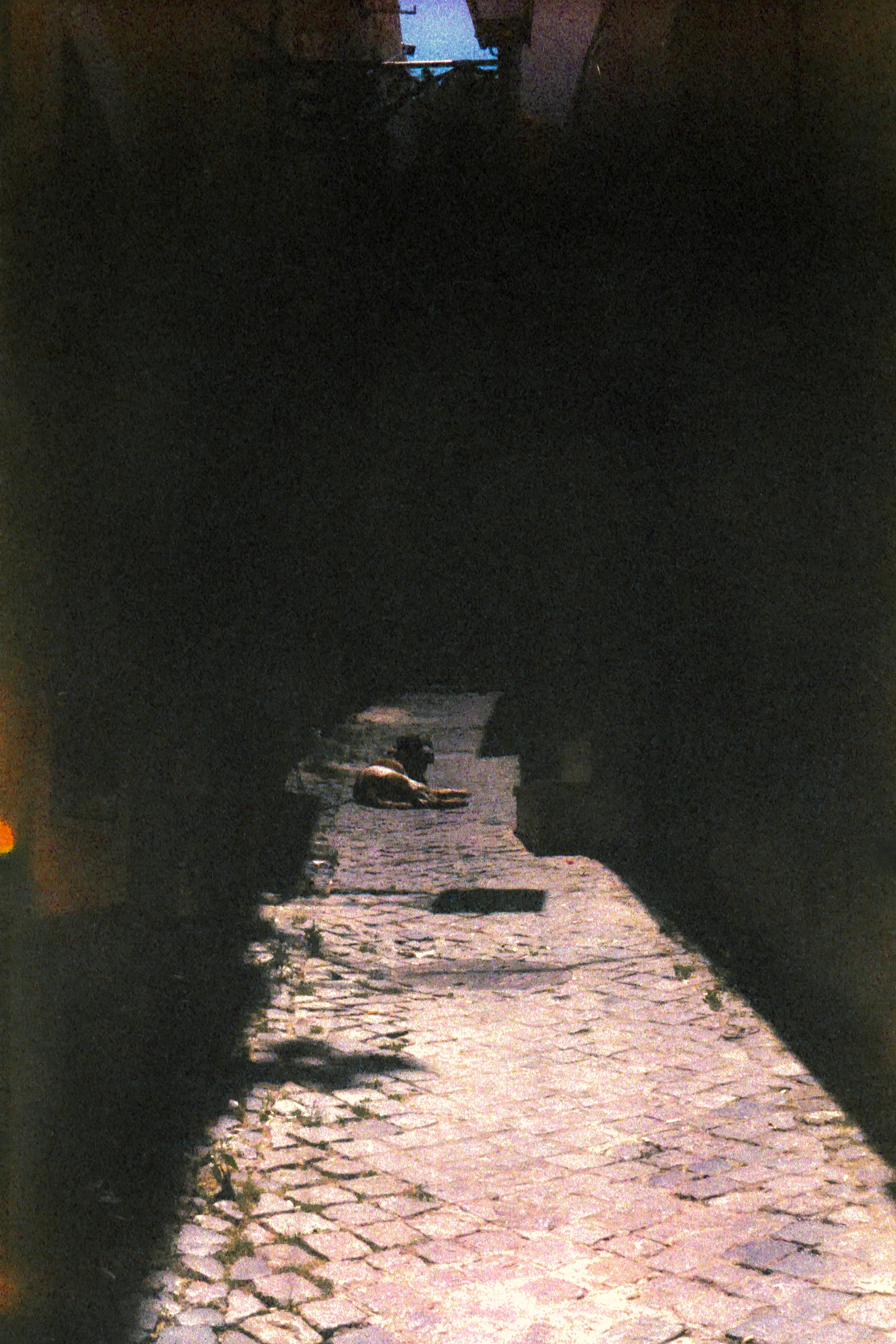 Add drying linen between houses