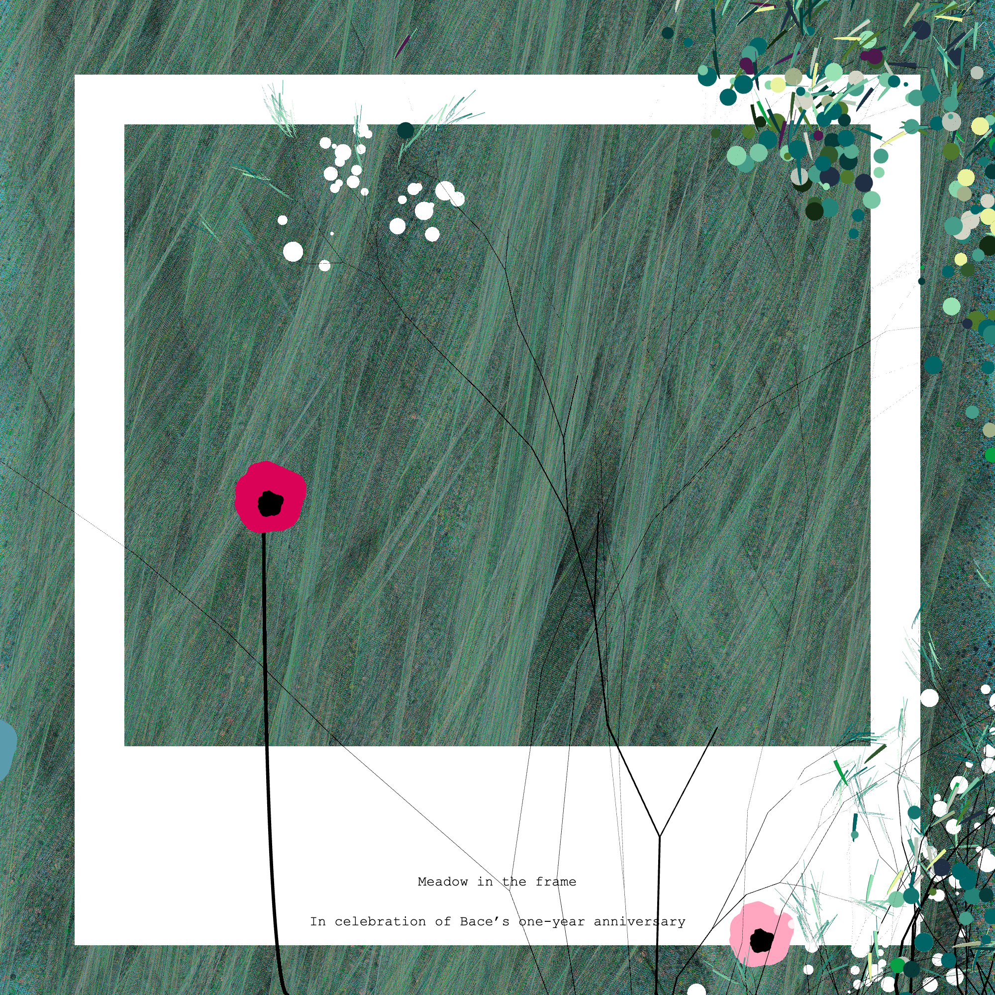 Meadow in the frame #B1