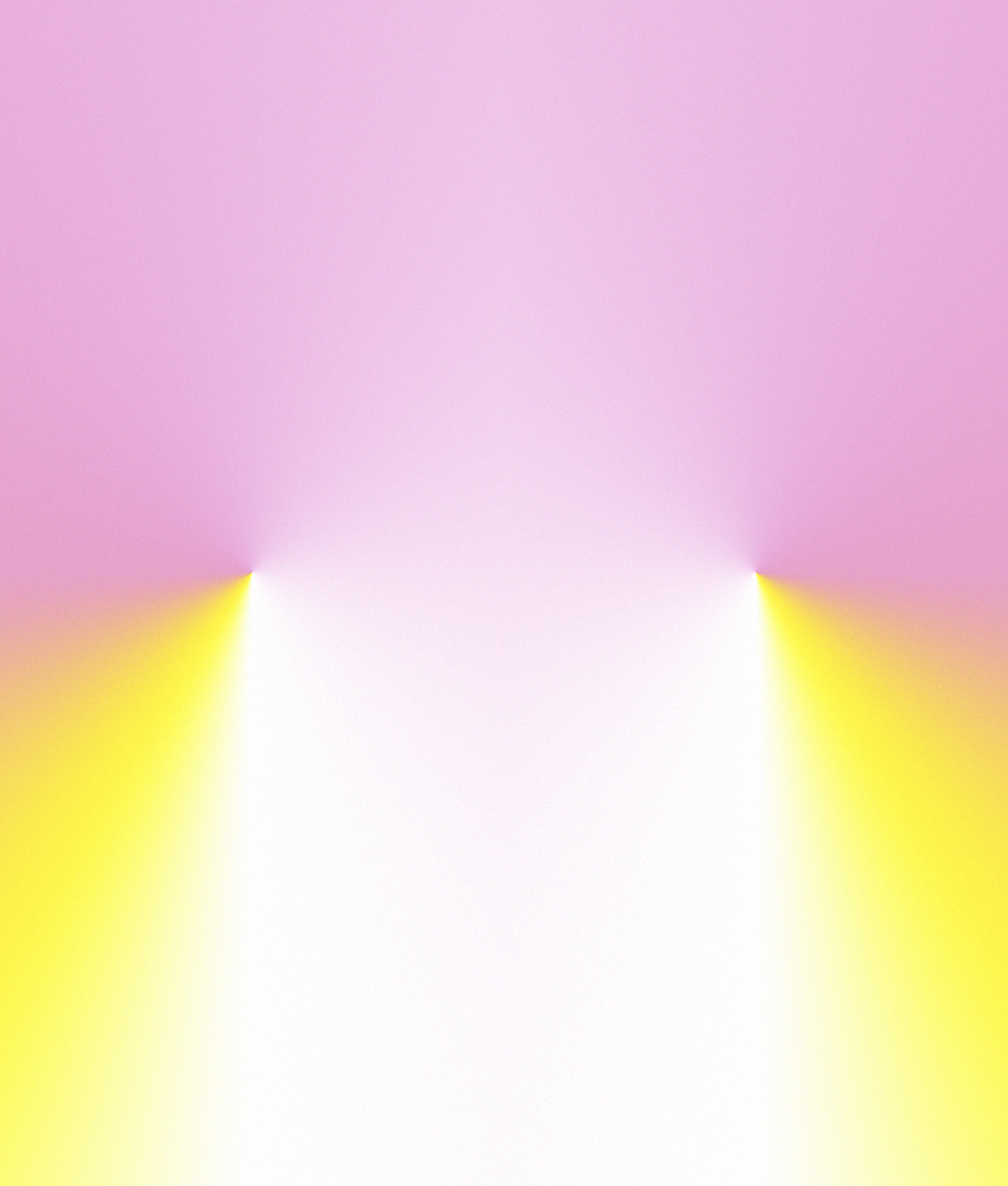 exp.8