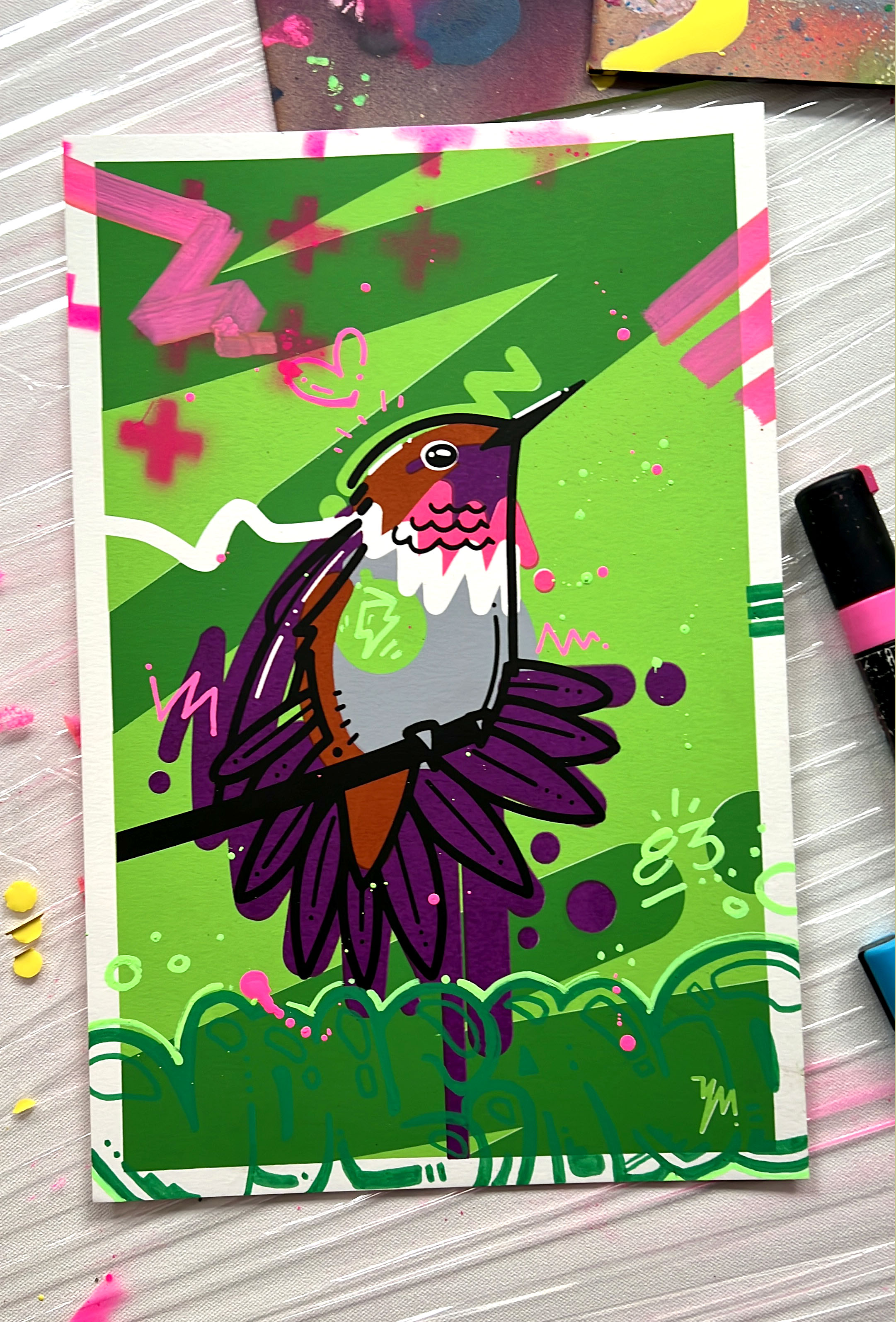 Volcano Hummingbird #3