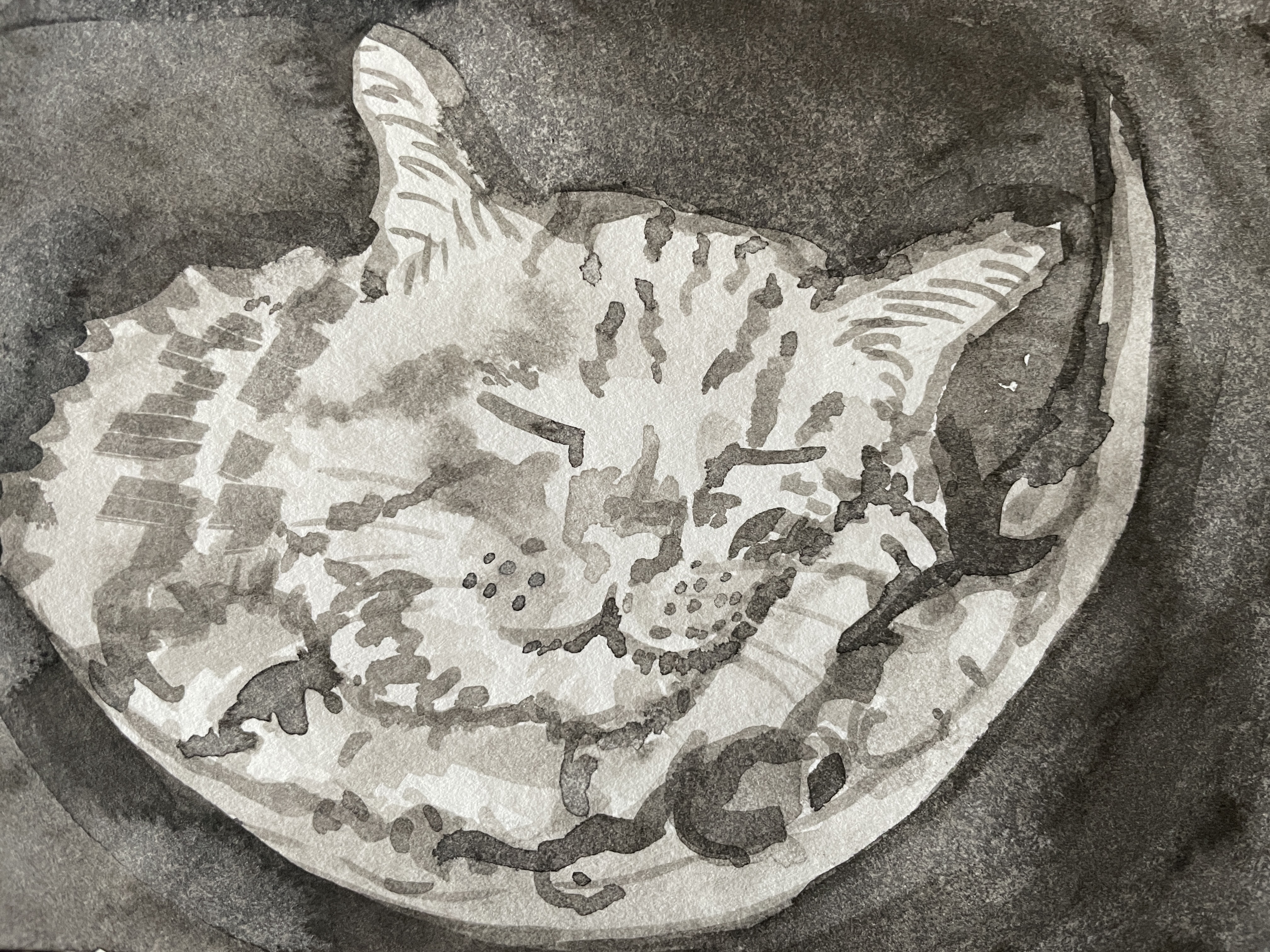 Mew in the Moon