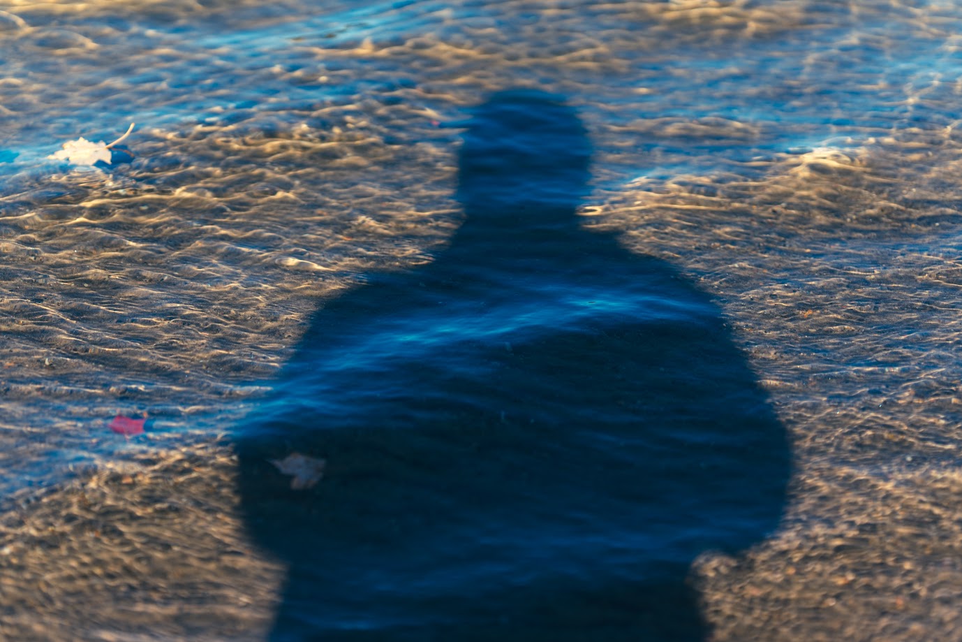 A shadow of myself #25