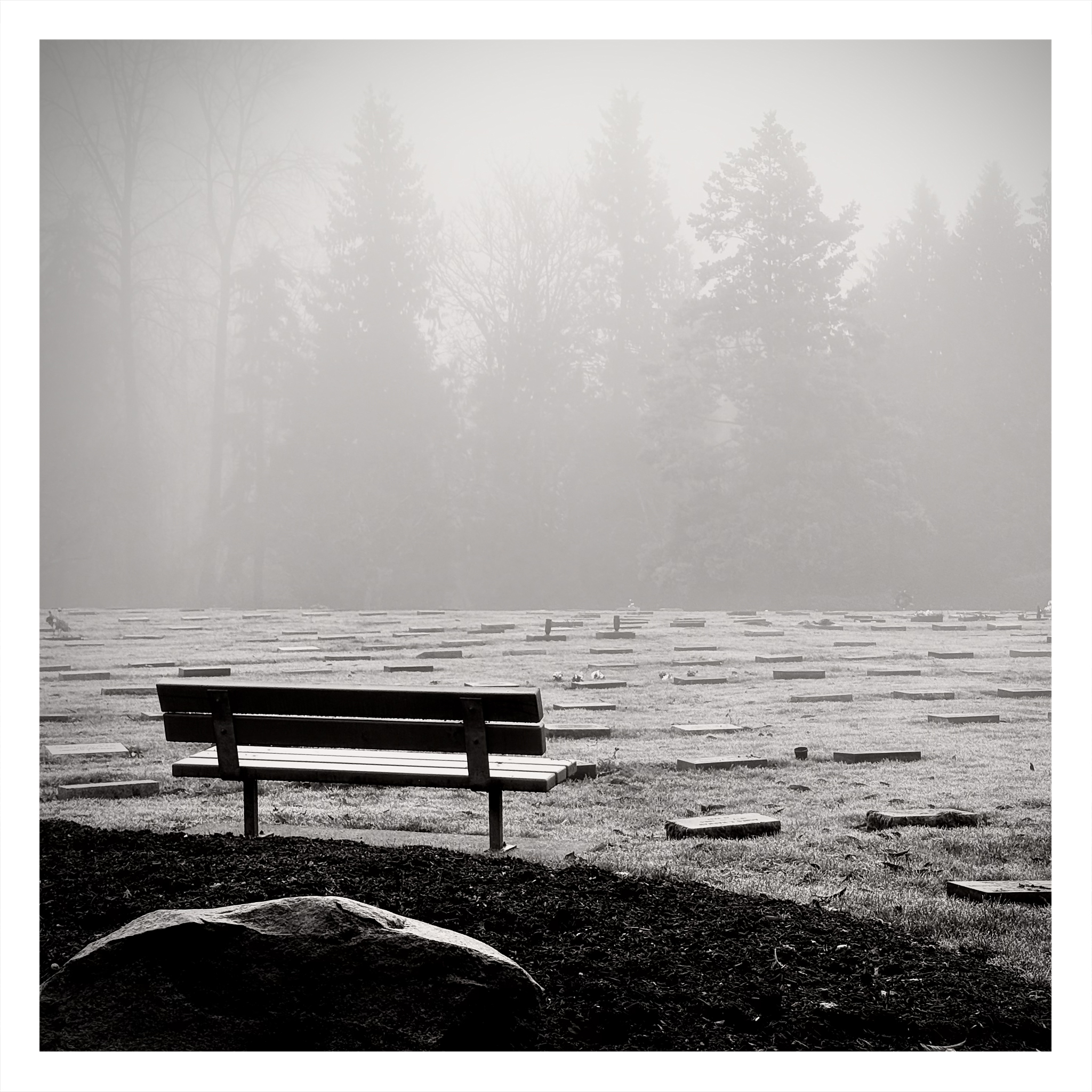 In the Silence of Loss