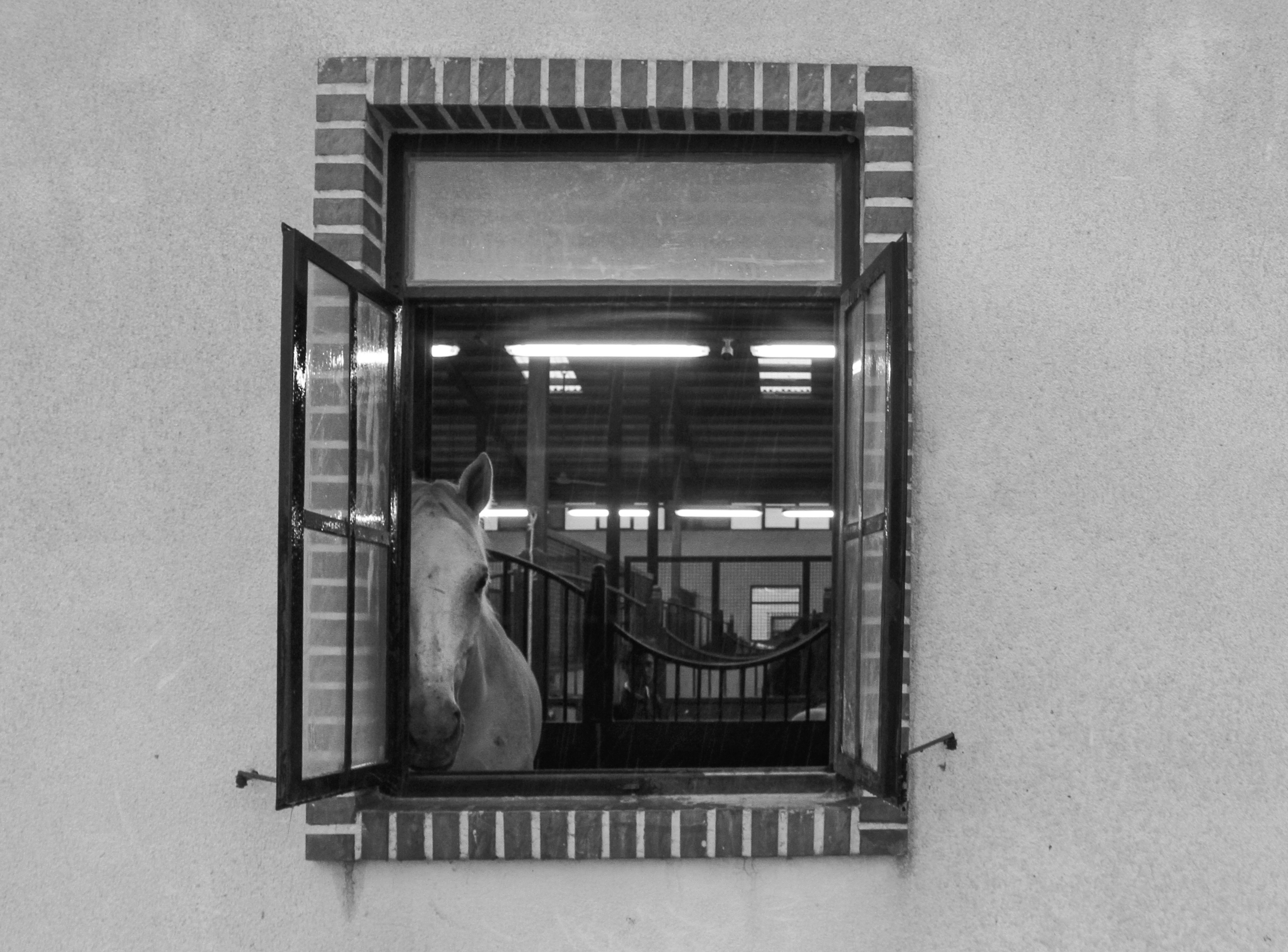 White Horse Window #29