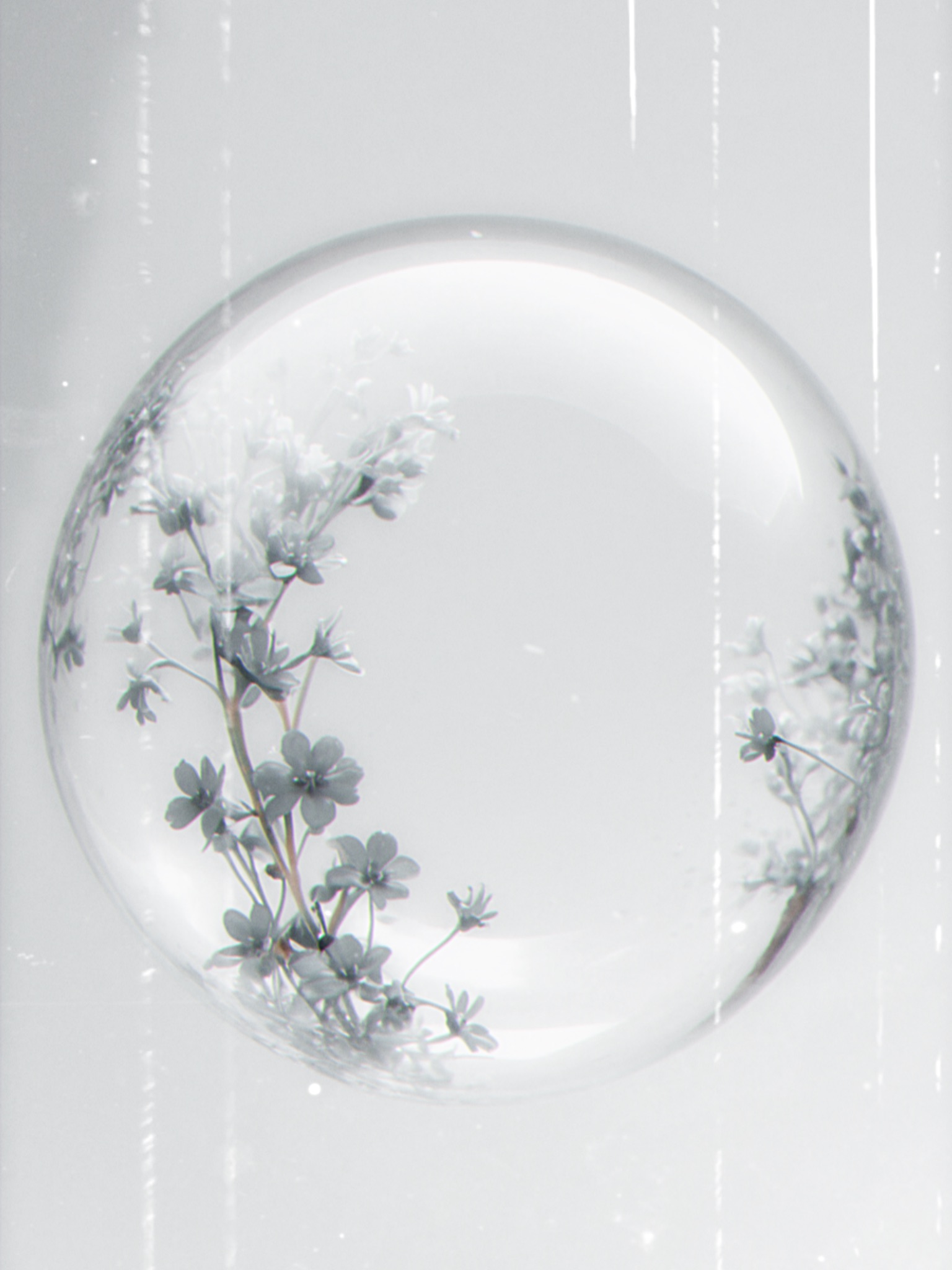 seeds for another planet