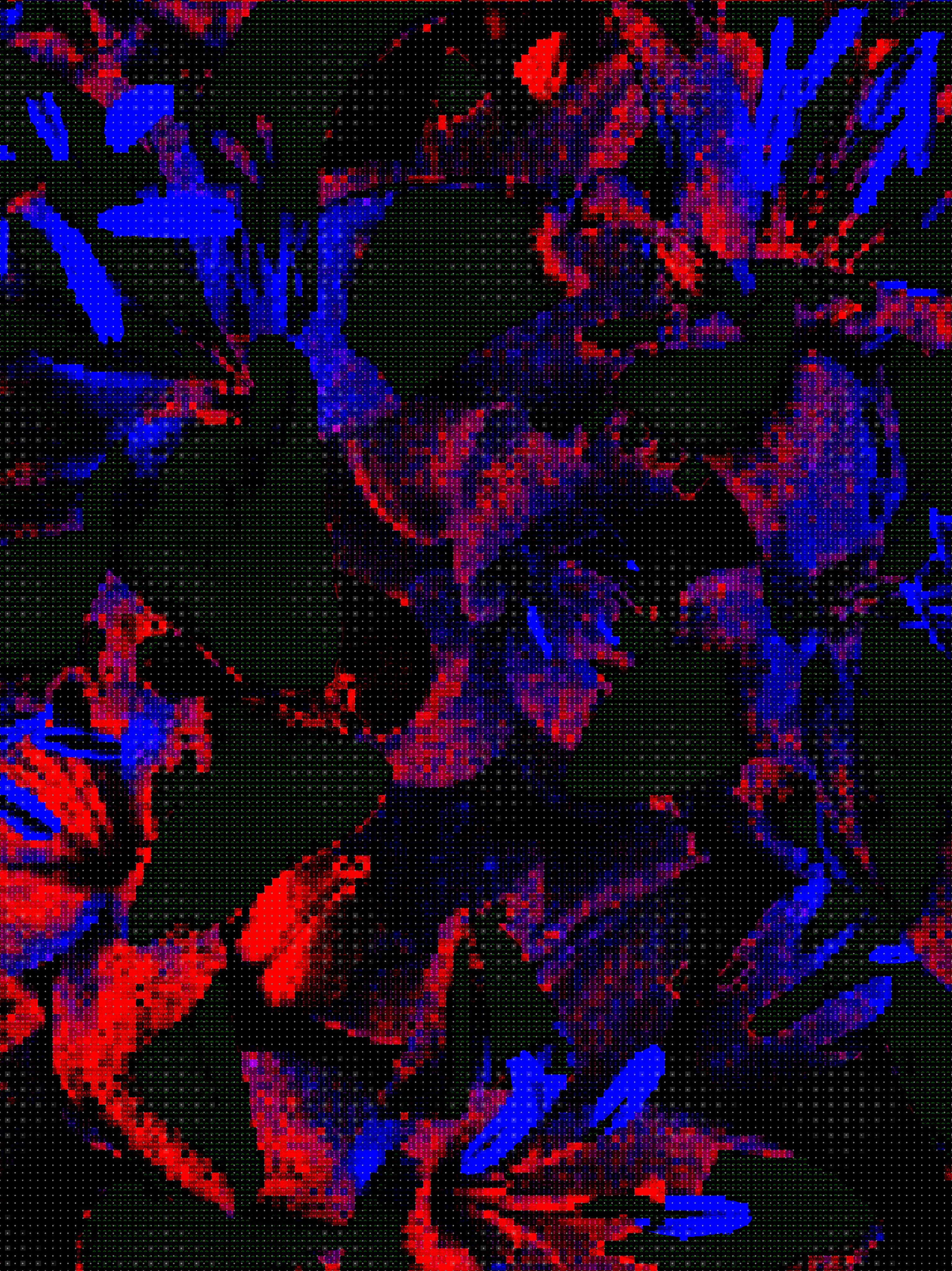 Flowers, Fabric, Blue_Red