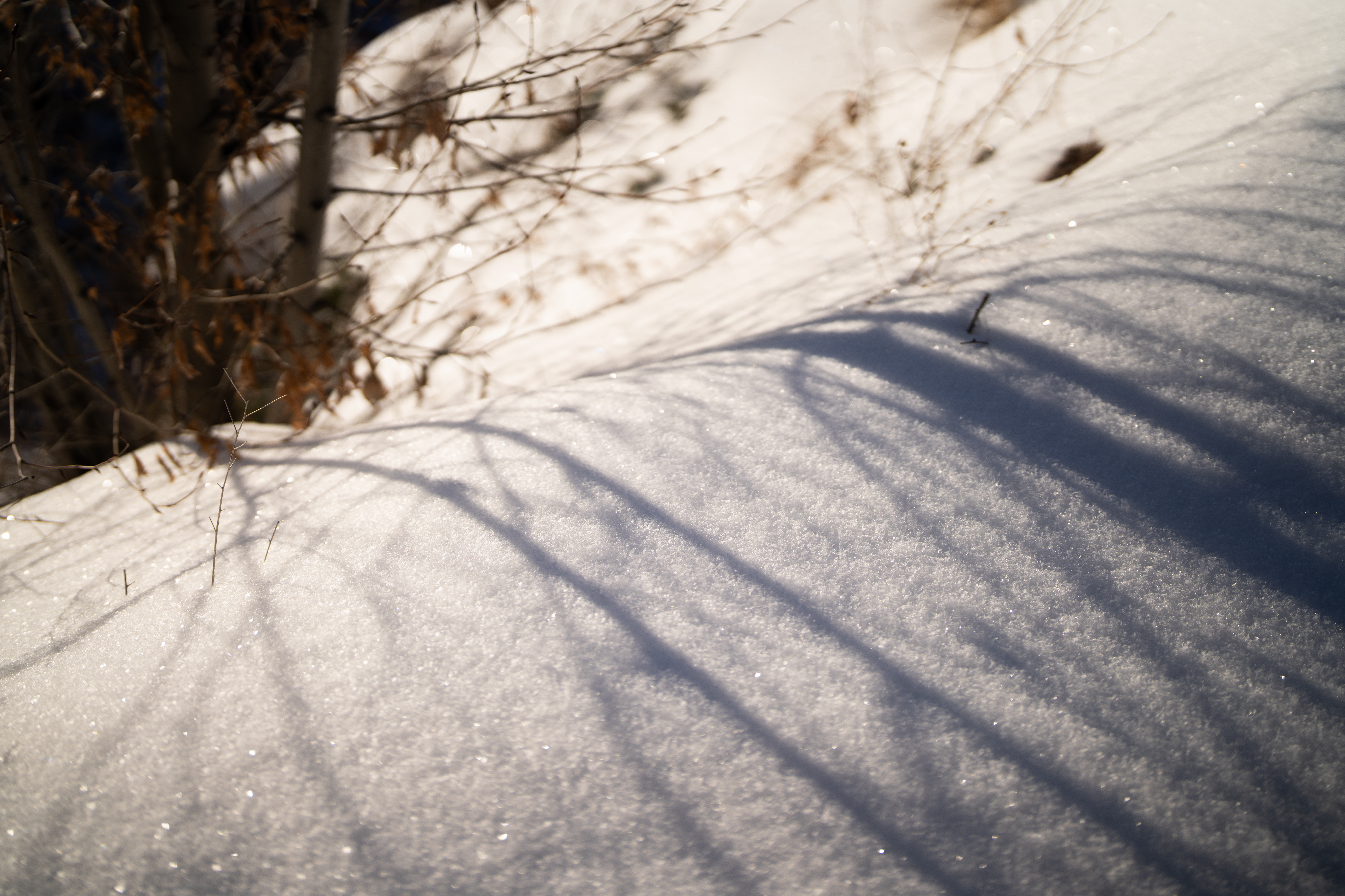 shadow vein