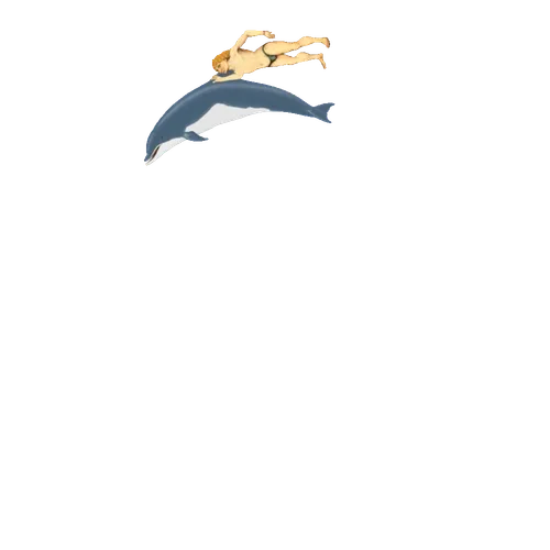 Dolphin w/ Man