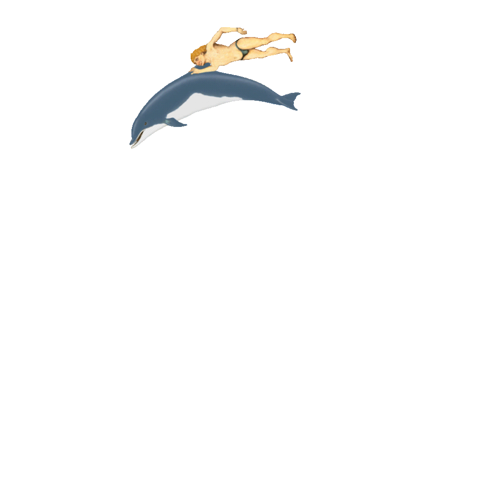 Dolphin w/ Man