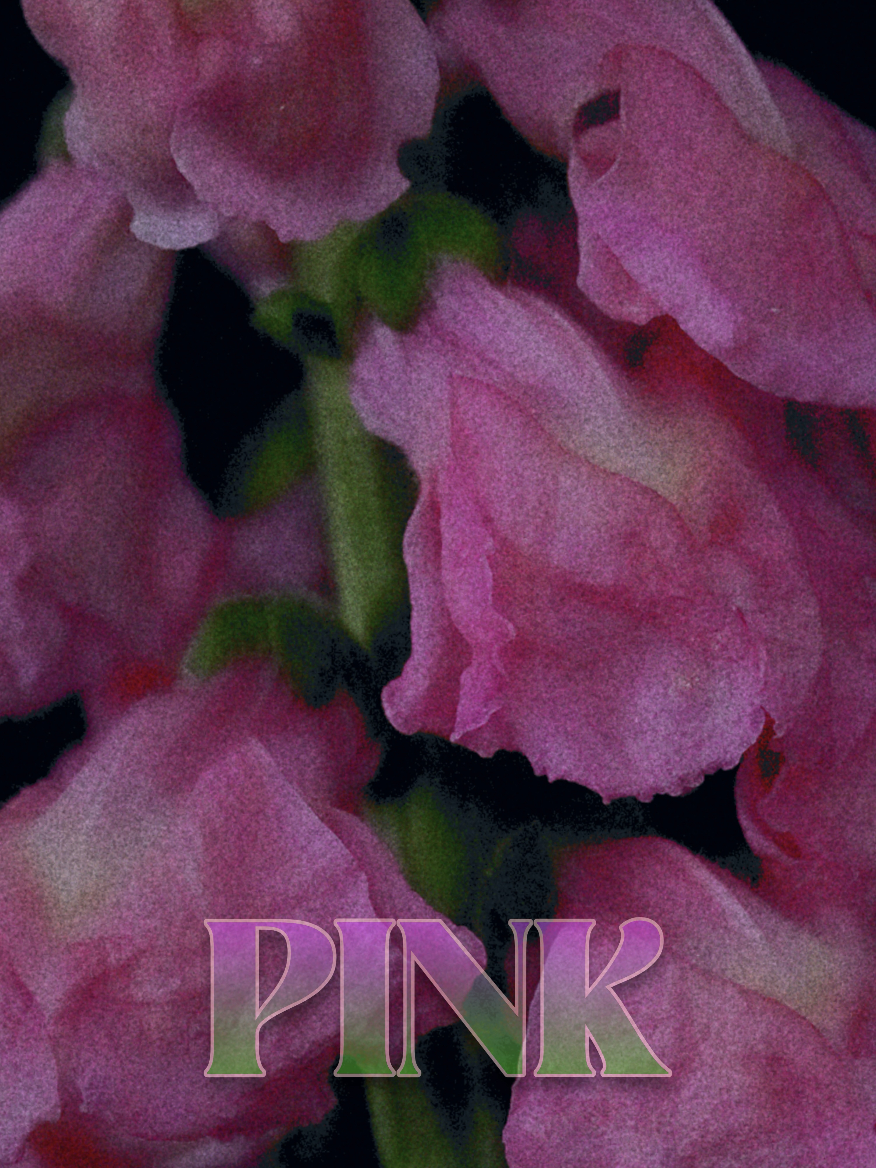 a [pink] change on the theme