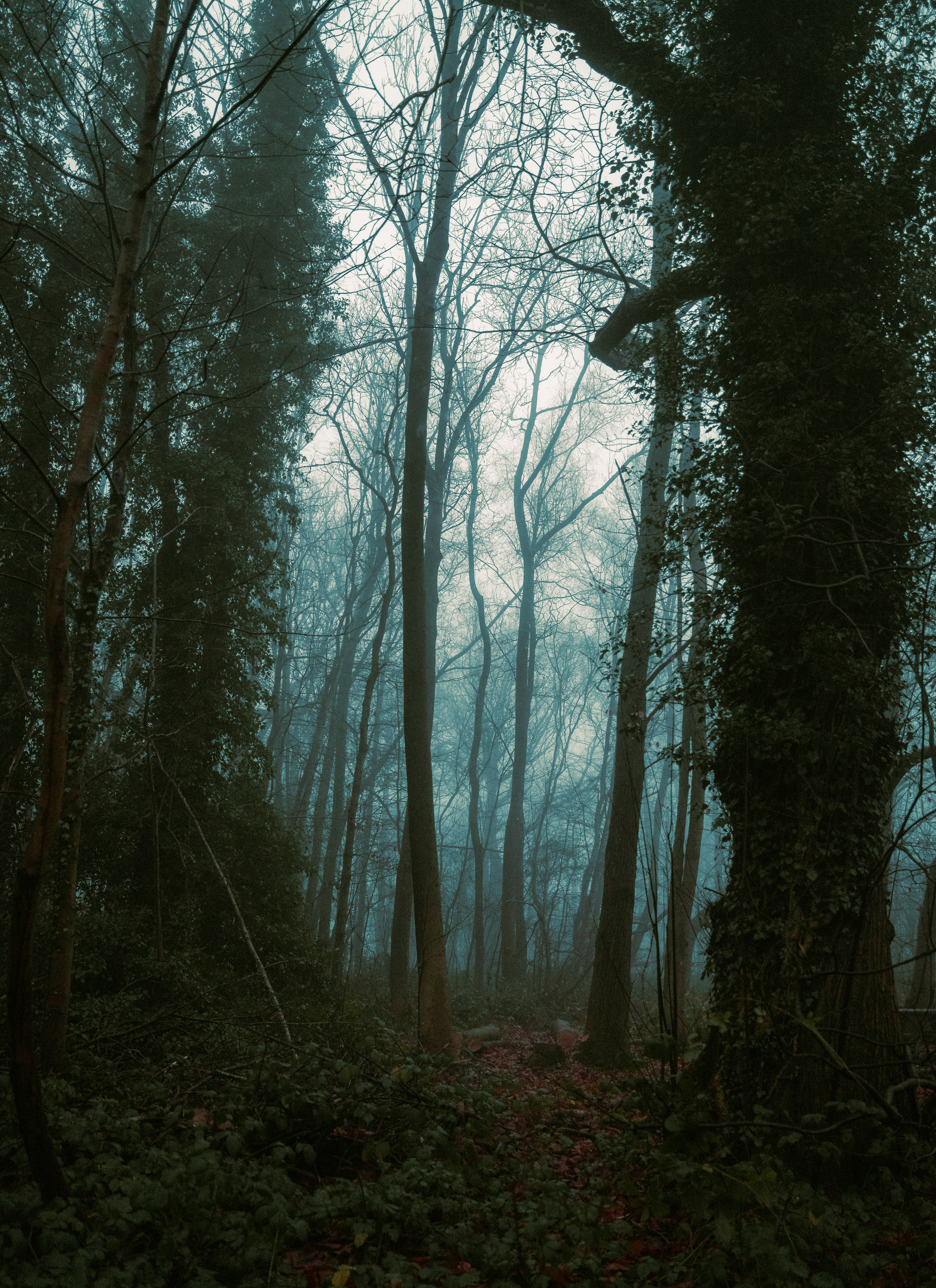 Lost
