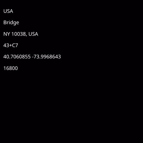 Fan of Brooklyn Bridge