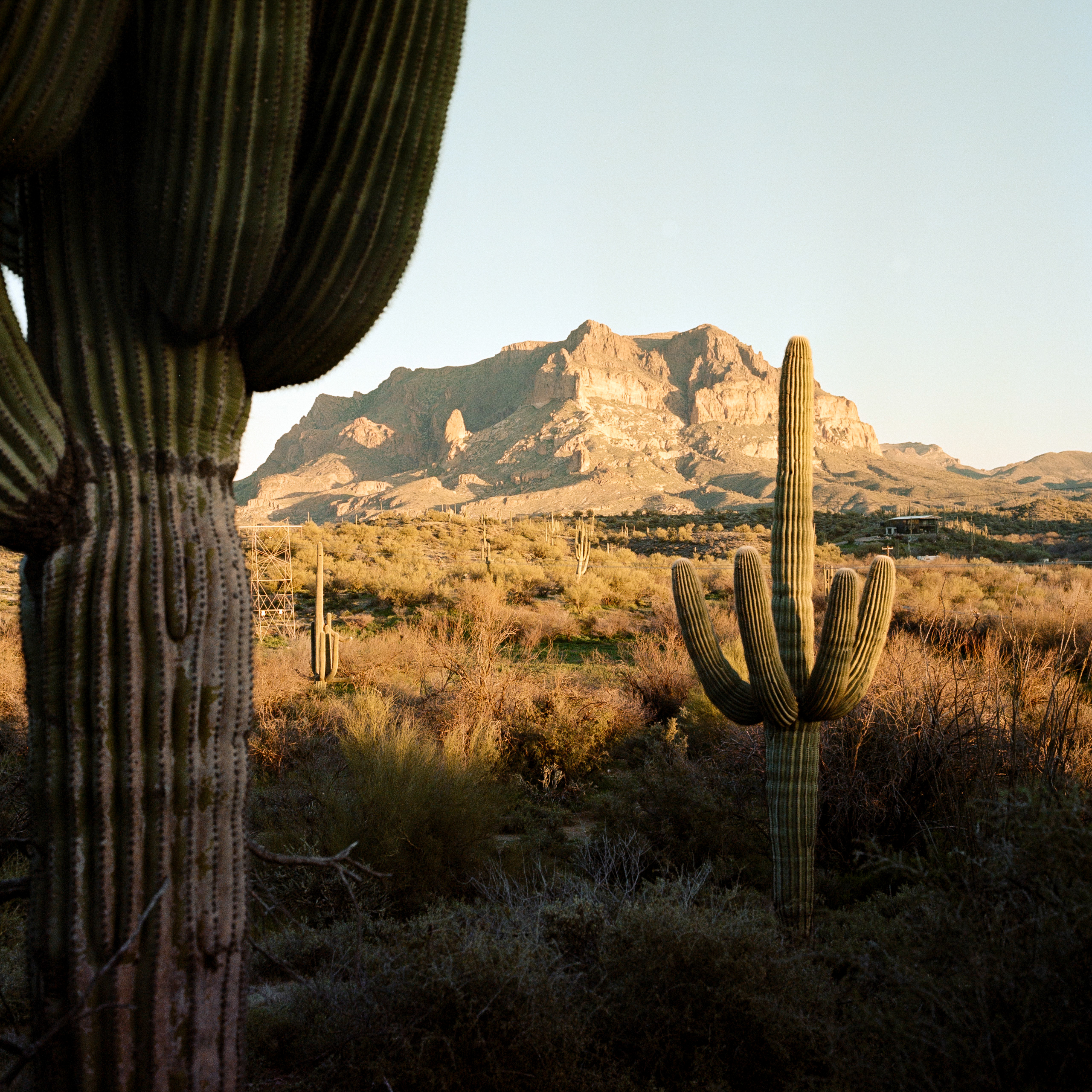 The Wild West