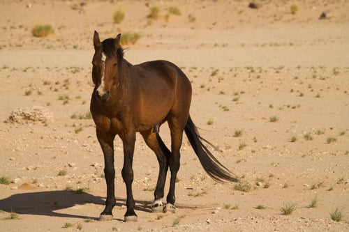 been here for a hot minute