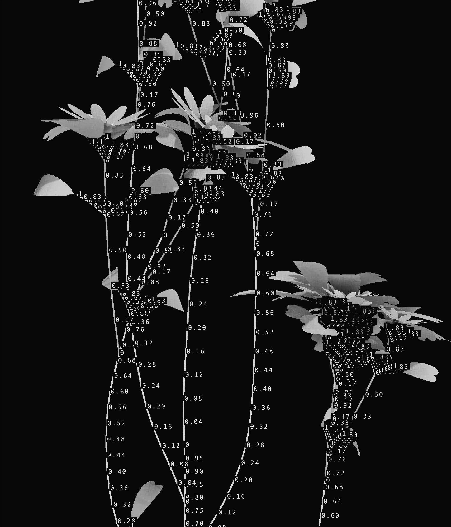 Computational nature. Variable nature.