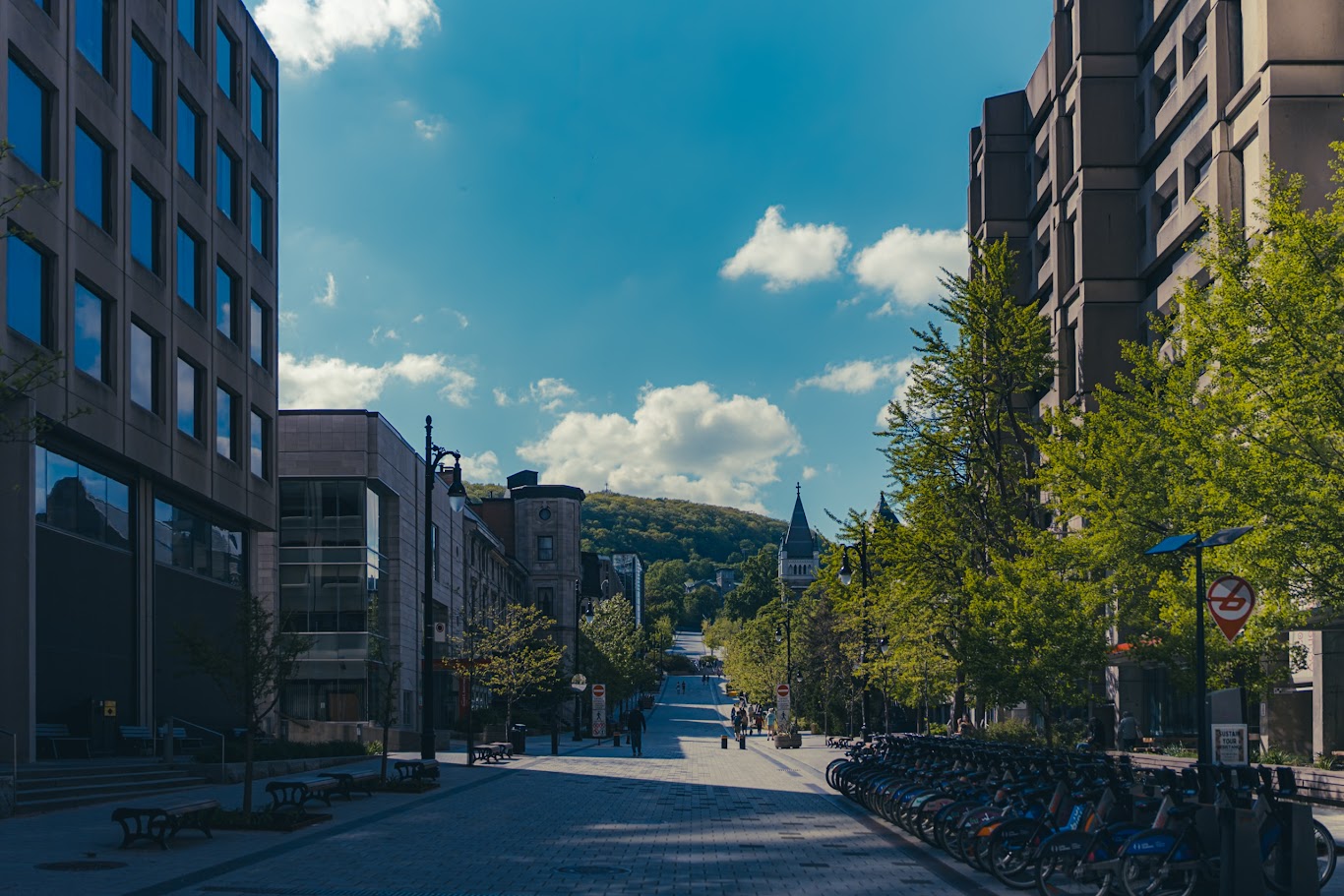 Down the road to Mt Royal