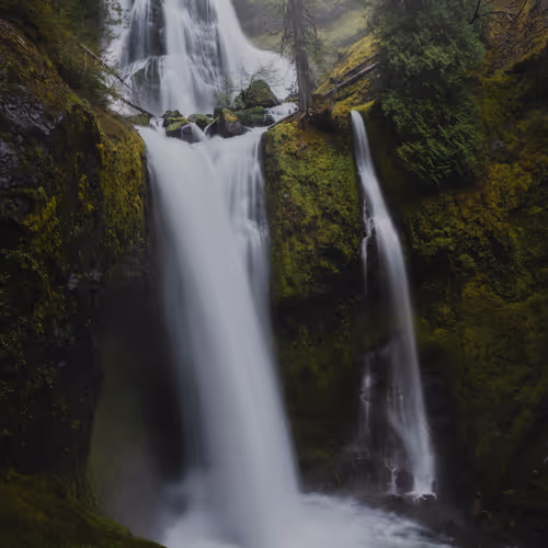 CHROMA: GREEN 003 //