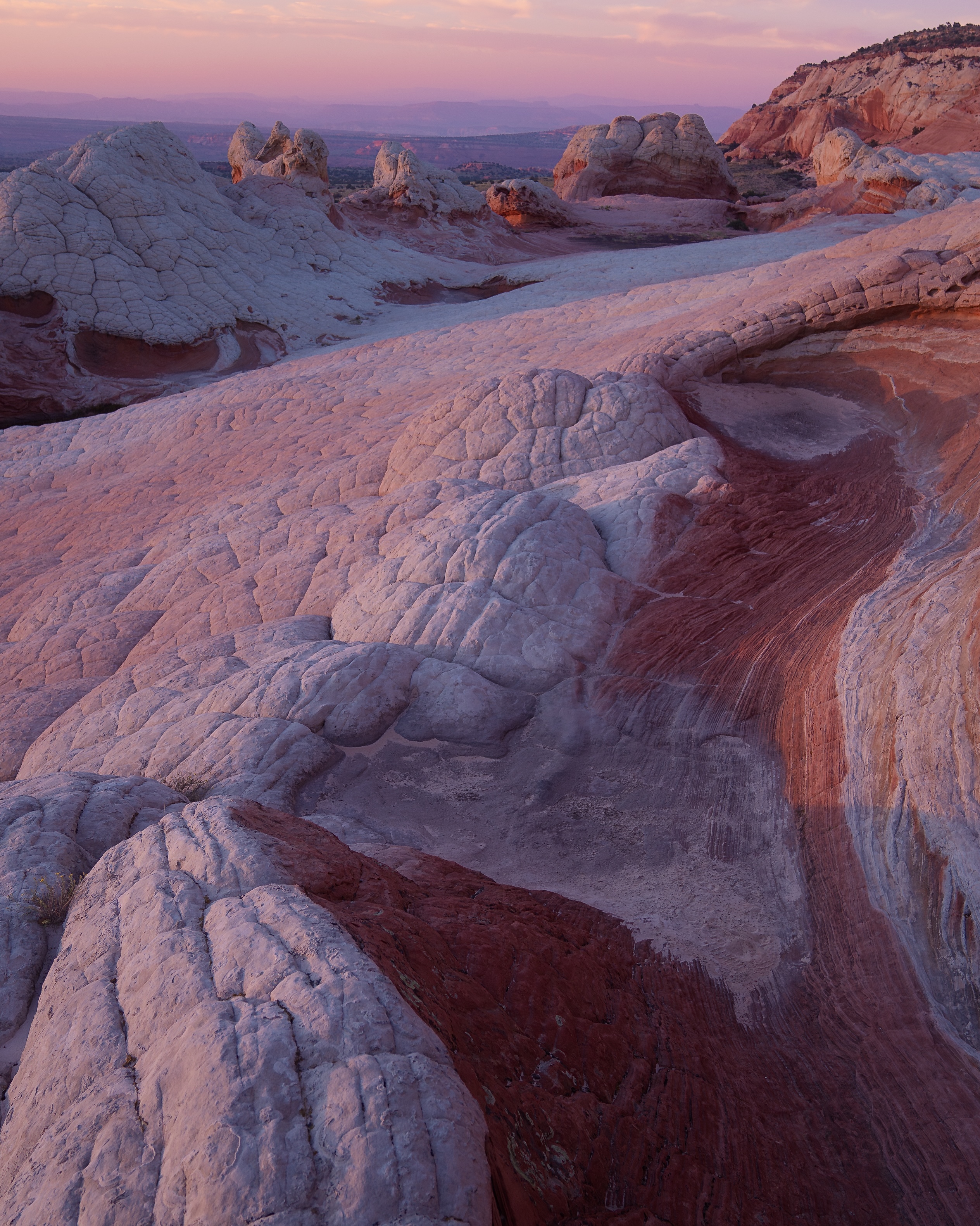 ELEMENTAL VORTEX 001 //