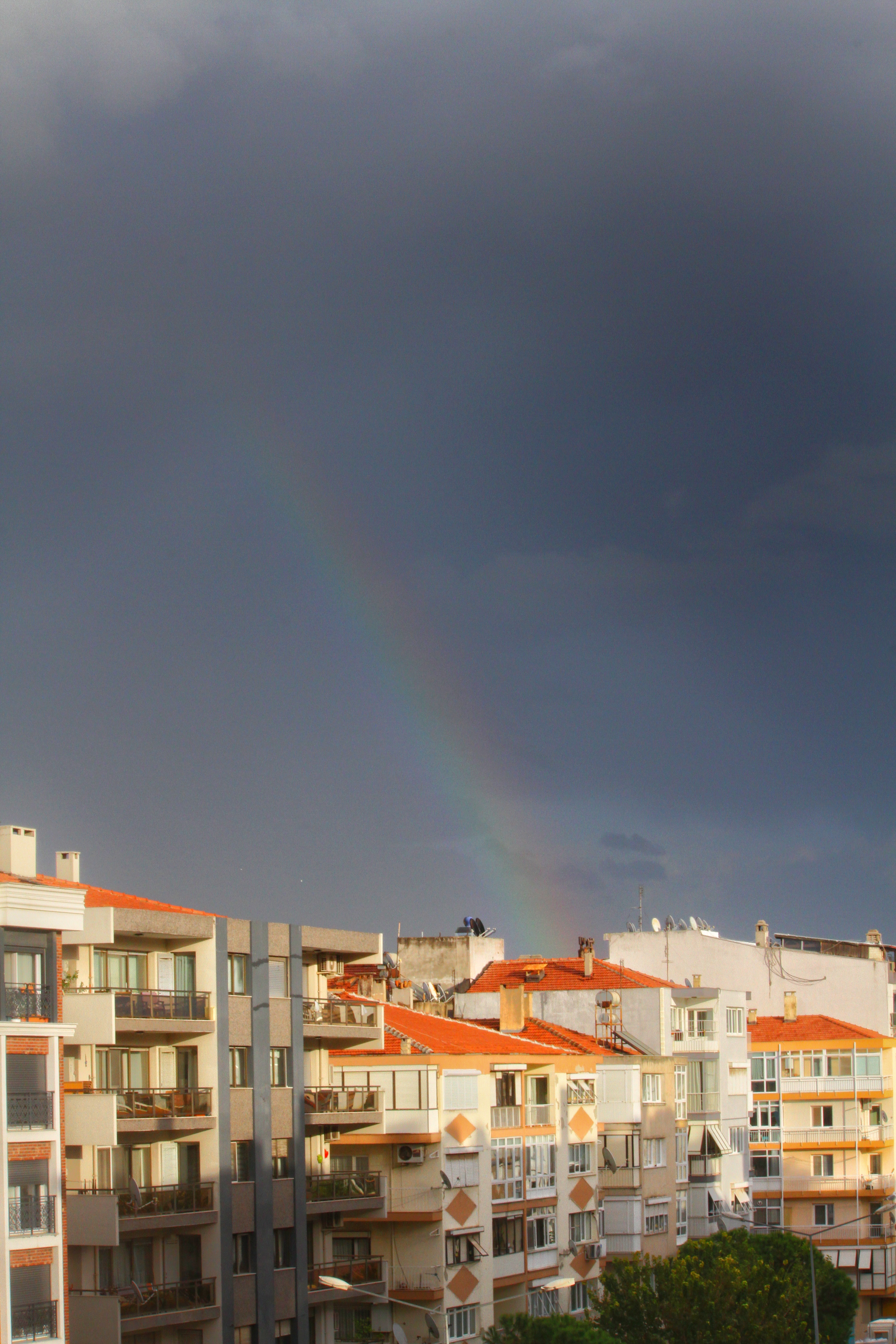 Rainbow 🌈