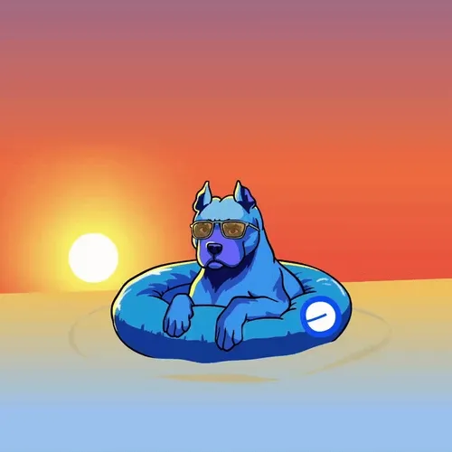onchain summer 2024 vibes