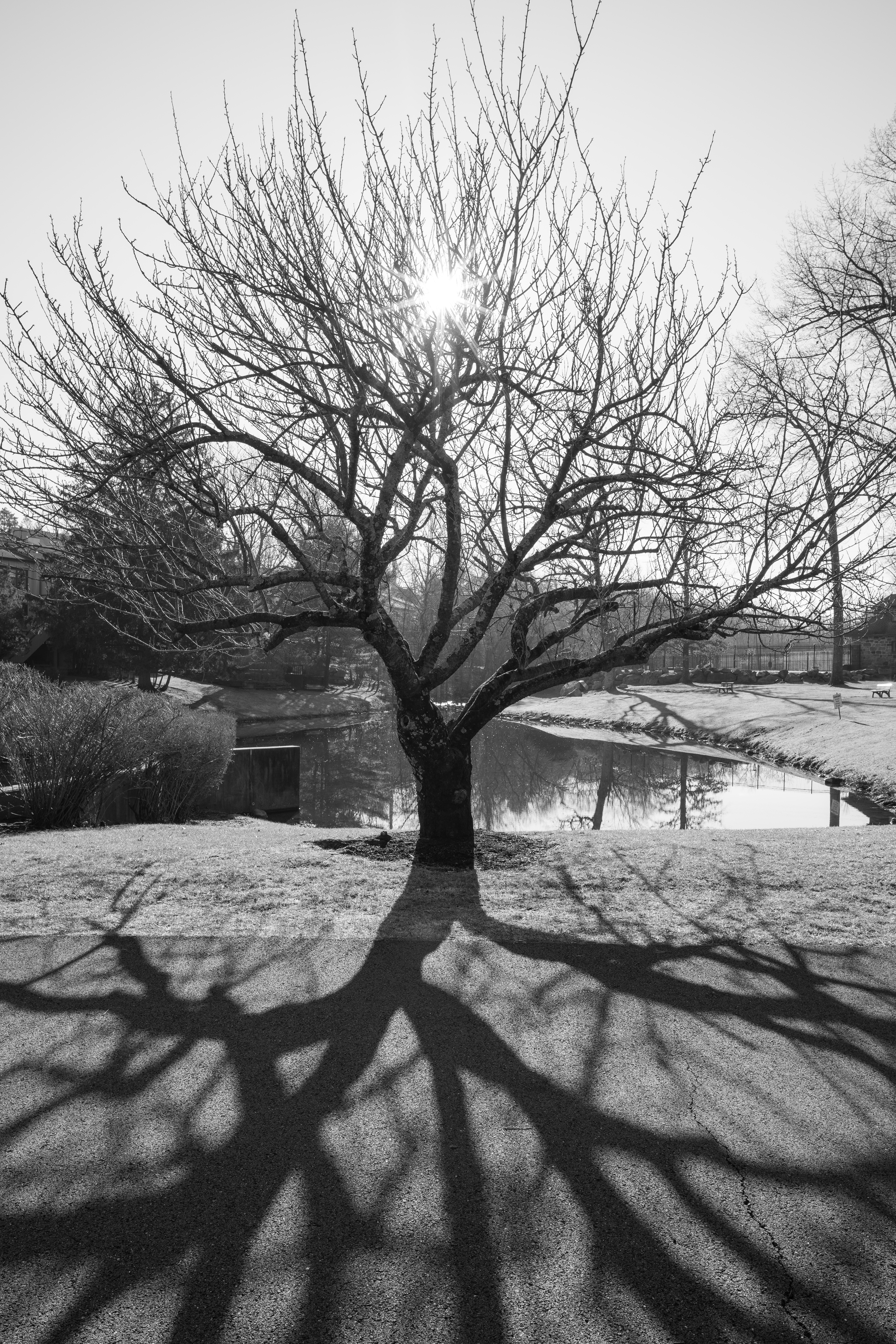 Living In Your Shadow